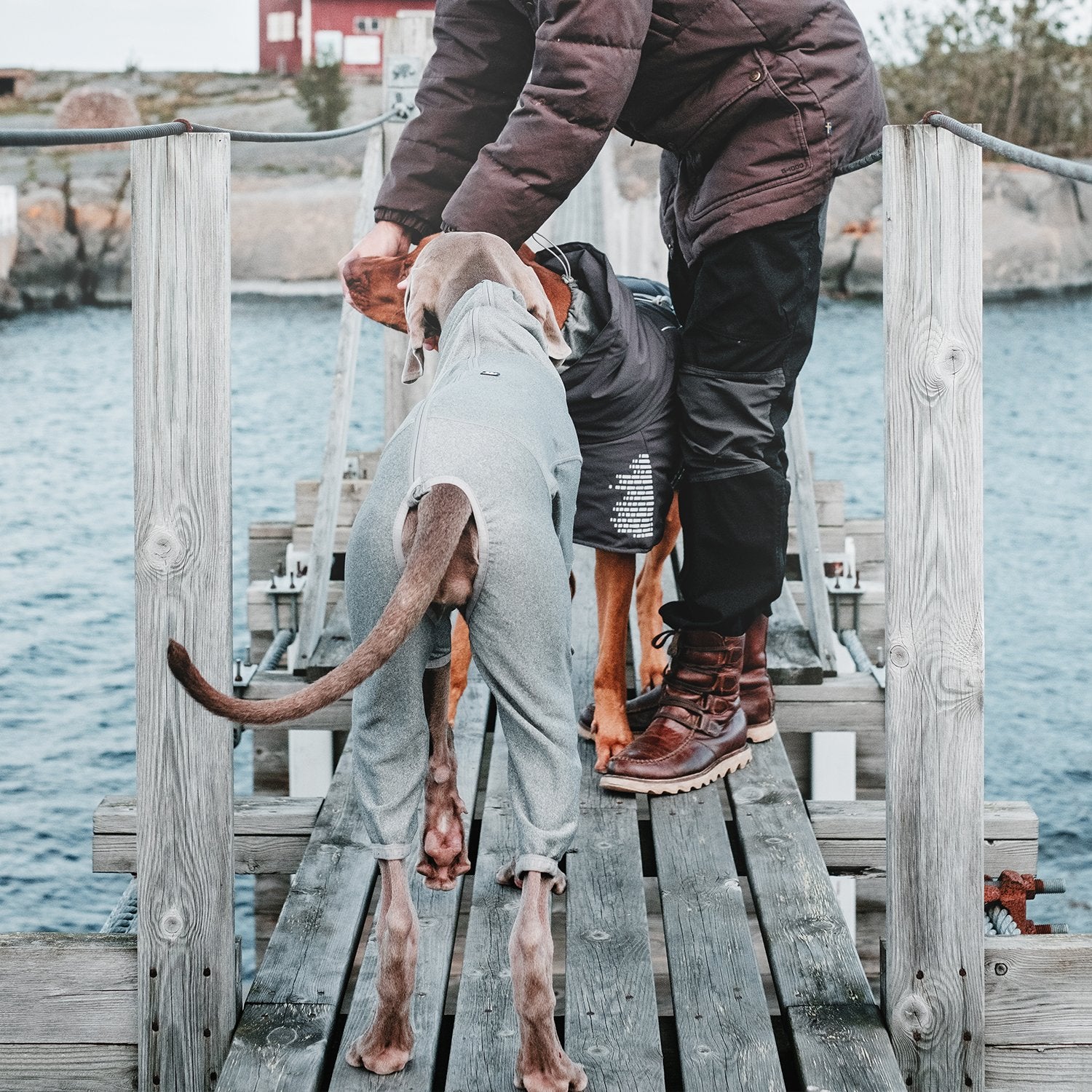 Hurtta Body Warmer Dog Body Suit, Recovery Suit, Carbon Grey, 14S