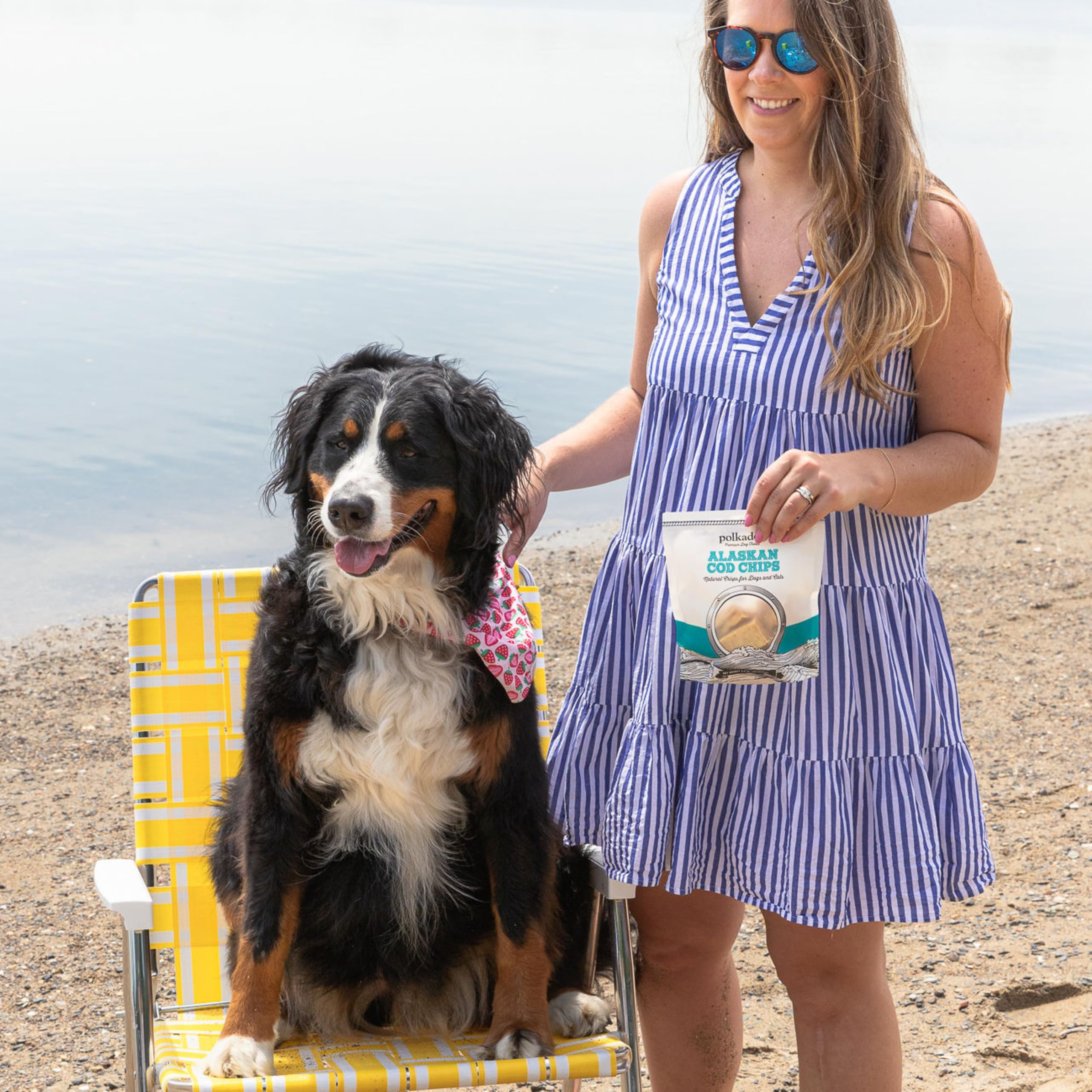 Polkadog Crunchy Alaskan Cod Chip Dog Treats - 100% Wild-Caught Fish Treat for Dogs, Cats - All-Natural, Grain-Free, Gluten-Free