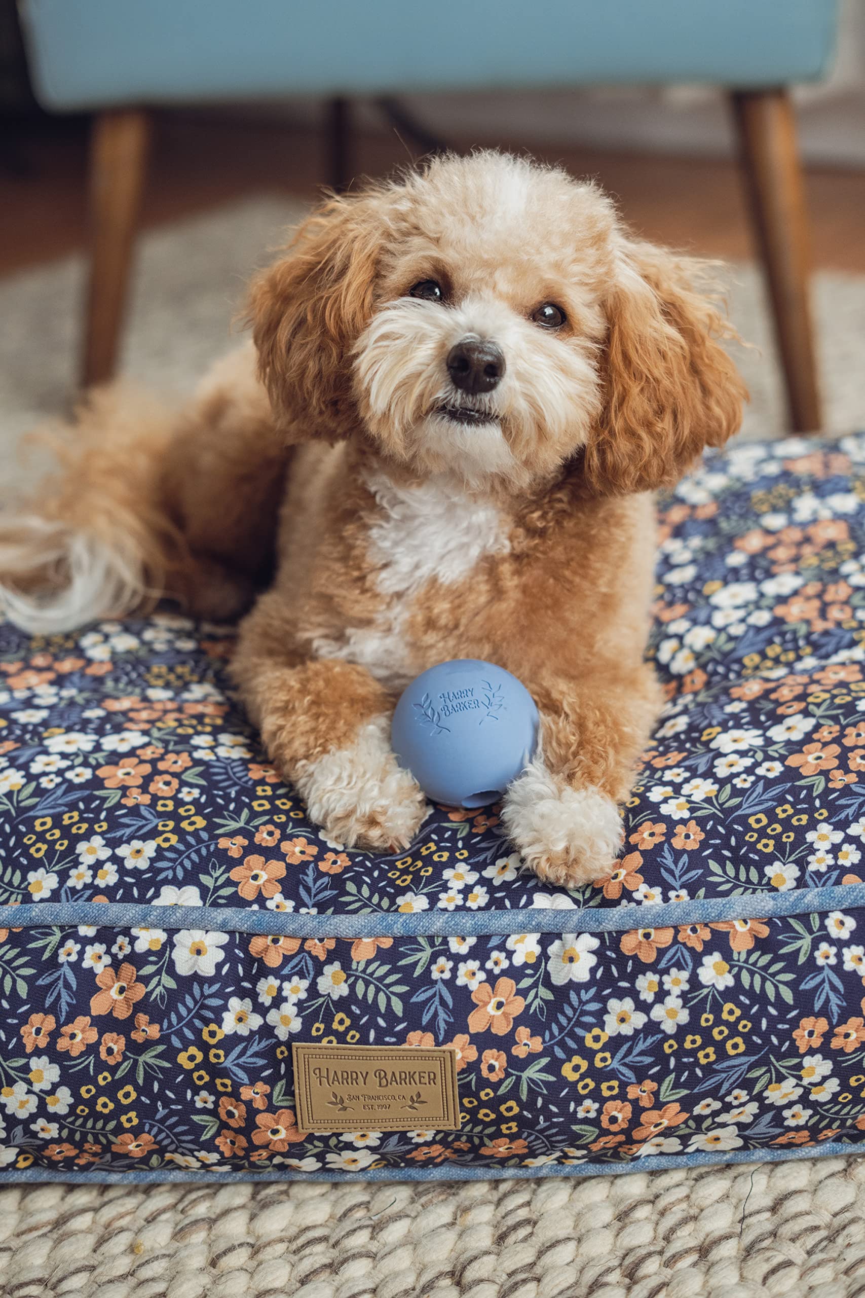 Harry Barker Rubber Balls And Rubber Chew Stick, Rubber Bone For Dogs - 2.5'' Rubber Balls - 6 Pack