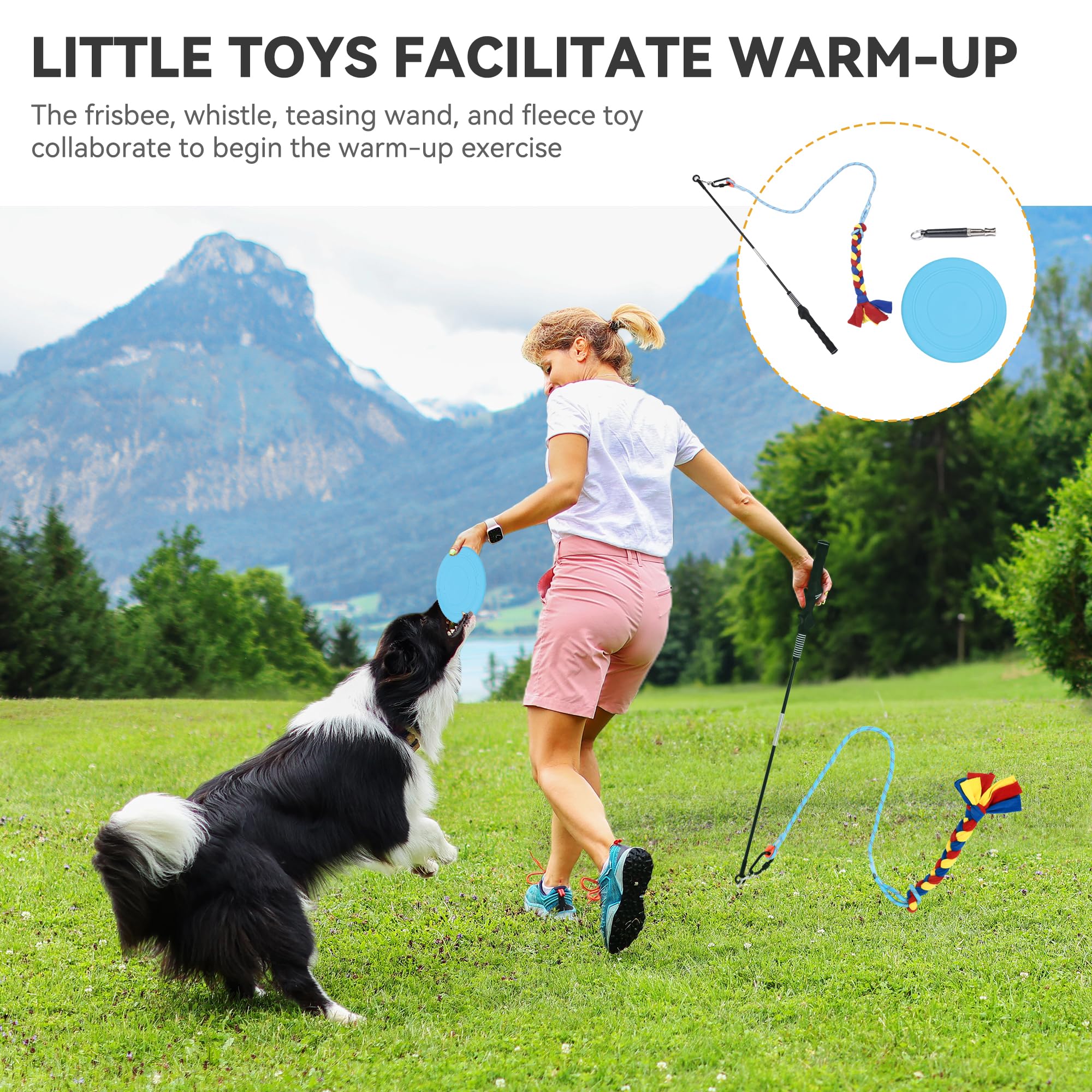 Yitahome Dog Agility Training Equipments: Includes Flirt Pole Accessorie, 3 Flying Discs, 2 Agility Tunnel, 3 Jumps, 6 Weave Pol