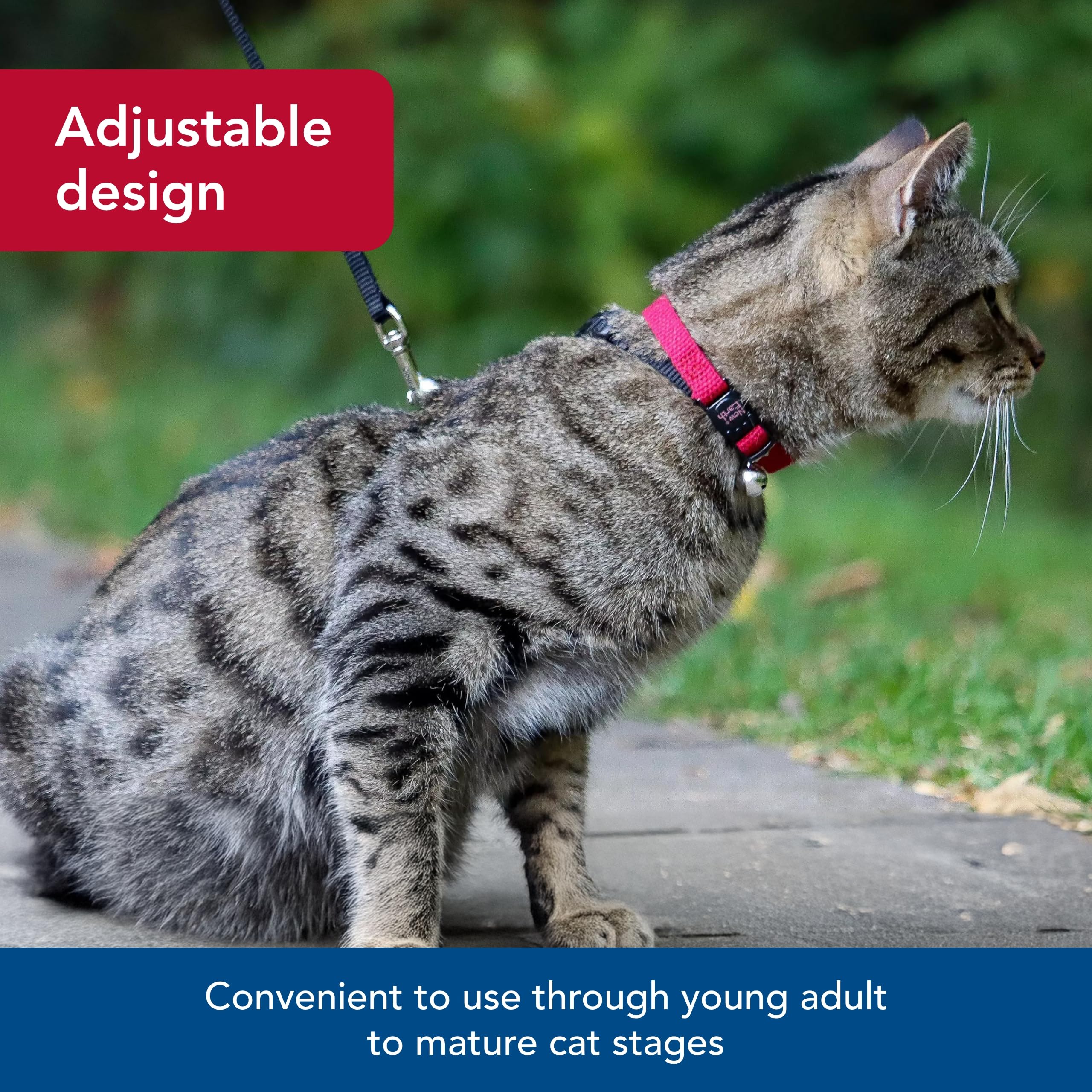 Coastal Pet New Earth Soy Adjustable Breakaway Cat Collar - Eco-Friendly, Odor-Resistant And Adjustable Cat Collar, Cranberry, 3/8' X 08'-12'