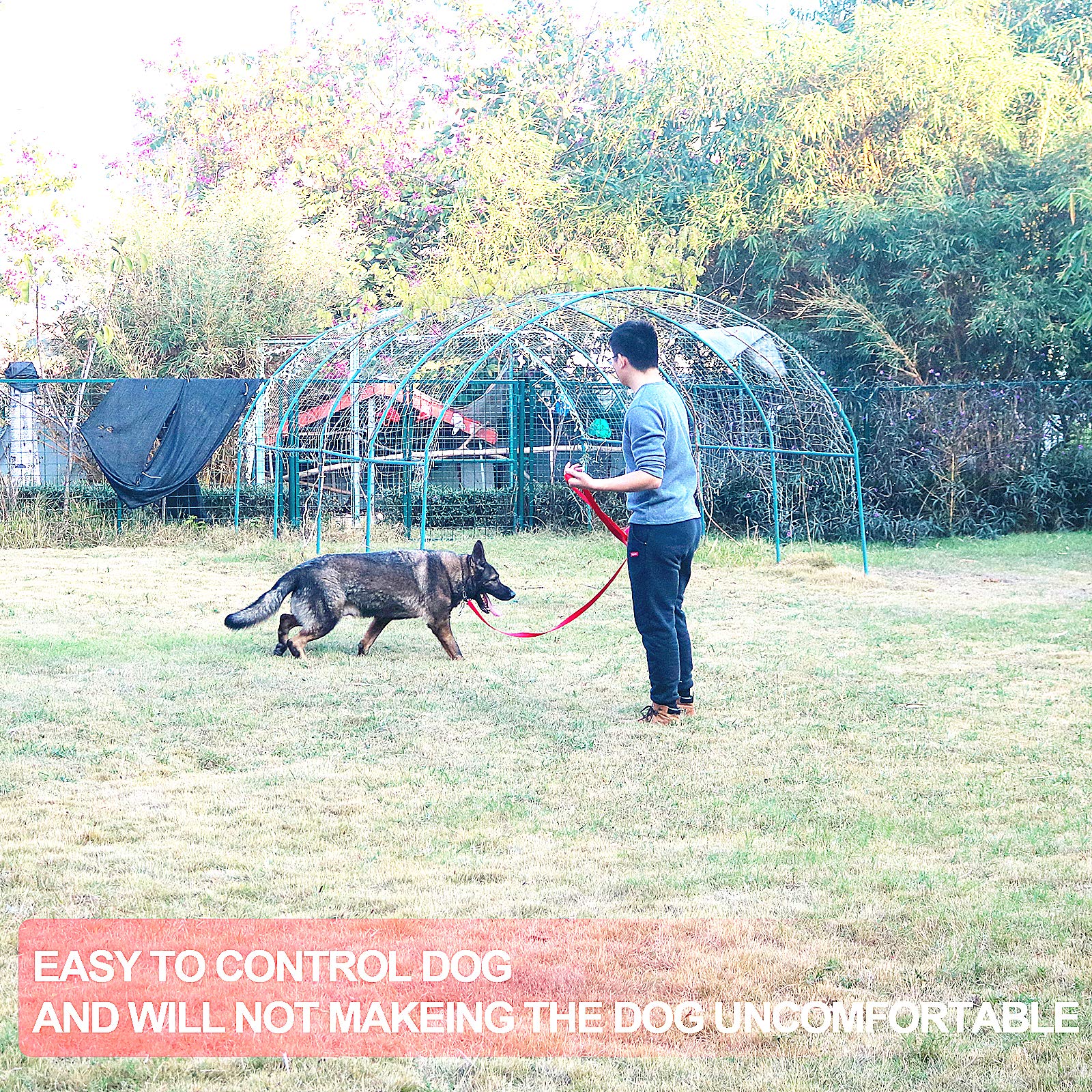Siumouhoi Dog/Puppy Obedience Recall Training Agility Lead-15 Ft 20 Ft 30 Ft 40 Ft 50 Ft Long Leash -For Training Leash, Play, Safety, Camping,Or Backyard (40Feet, Red)