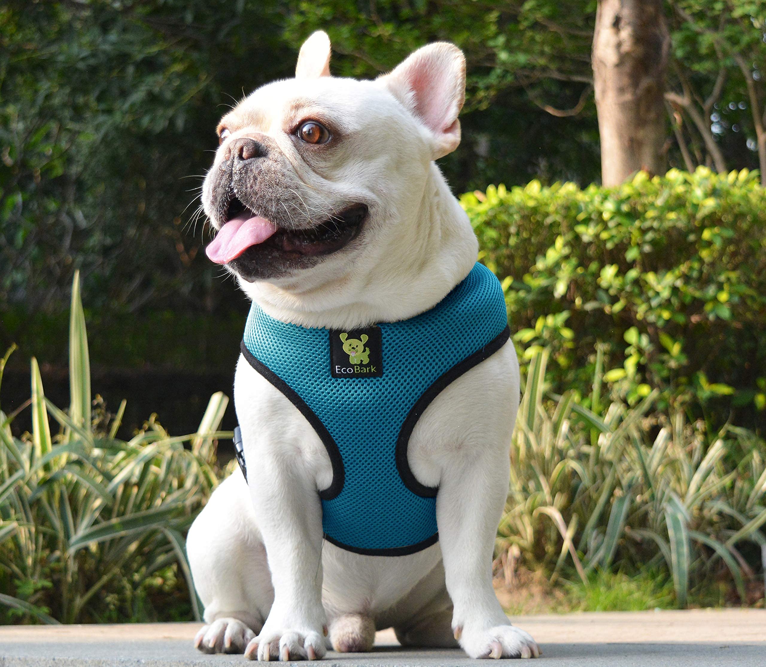 Ecobark Dog Harness - Eco-Friendly Max Comfort Harnesses - Luxurious Soft Mesh Halter - Over The Head Harness Vest- No Pull And No Choke For Small, Toy Breed, And Teacup Dogs (Xs, Teal Blue)