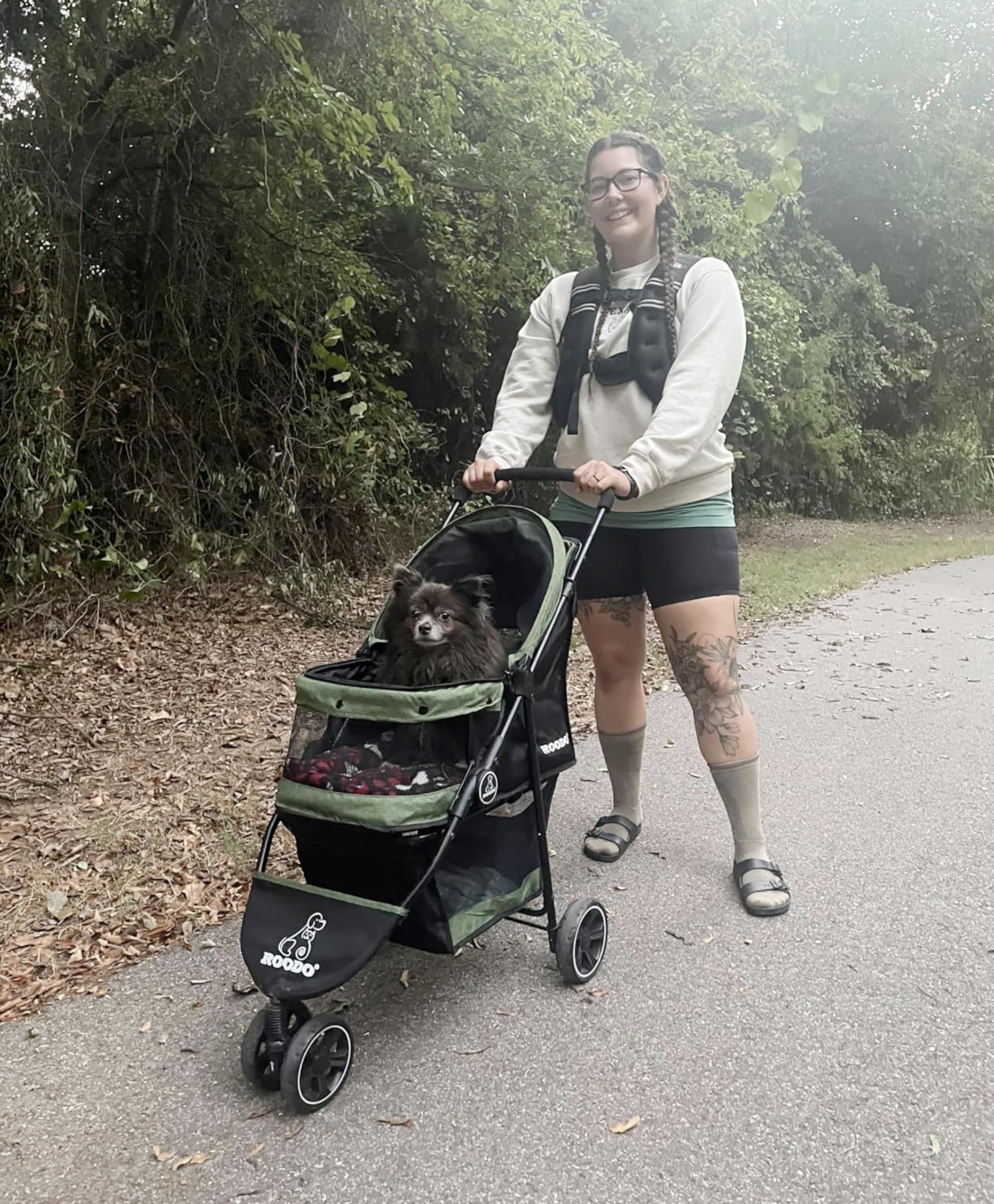 Roodo 3 Wheel Pet Stroller Best Lightweight Foldable Compact Portable Jogger All Terrain Travel Pet Gear Puppy Kitty Stroller Fo