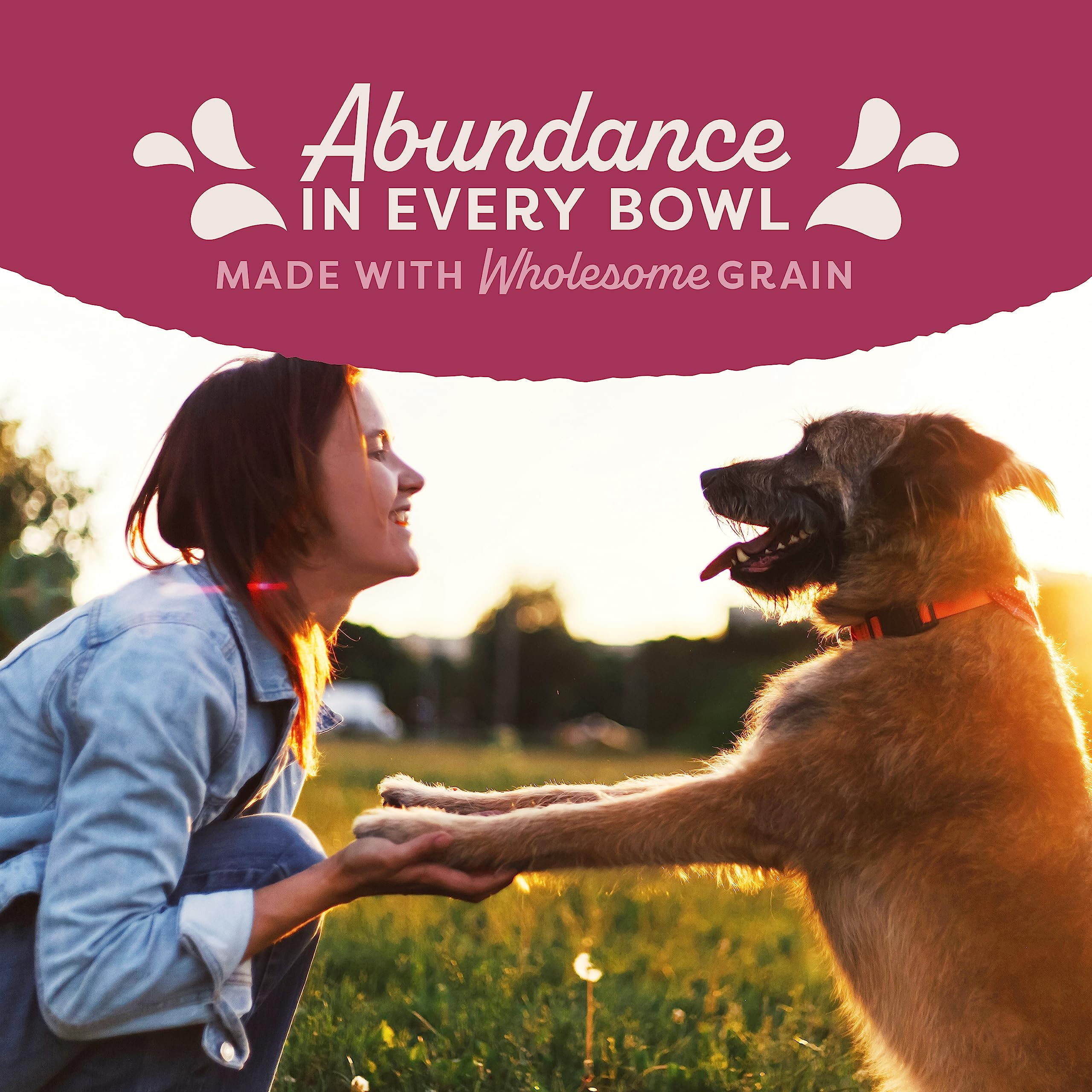 Natural Balance Original Ultra Fat Dogs Wet Dog Food, Chicken & Salmon Recipe in Broth, 13 oz (Pack of 12)