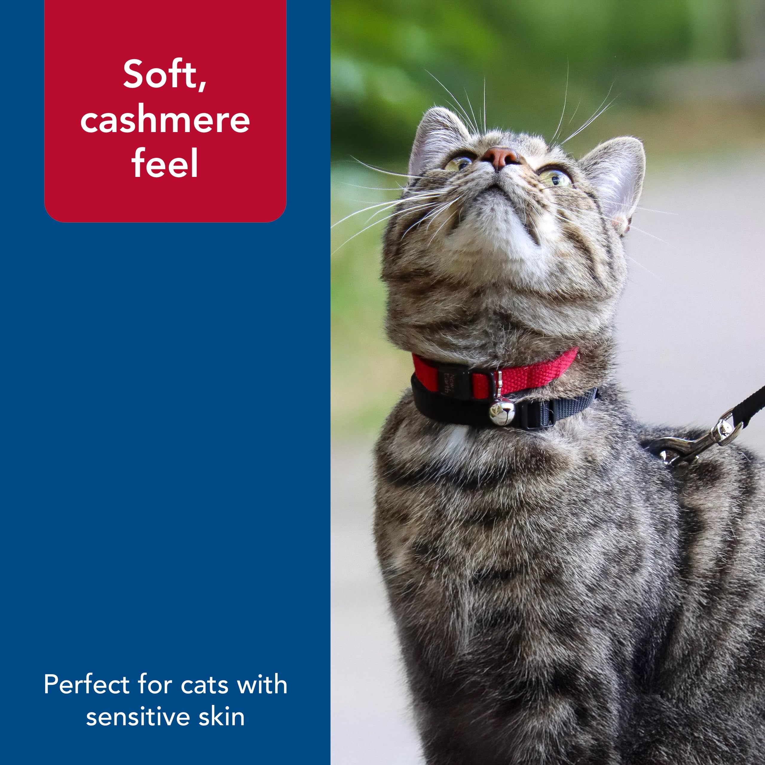 Coastal Pet New Earth Soy Adjustable Breakaway Cat Collar - Eco-Friendly, Odor-Resistant And Adjustable Cat Collar - Olive - 3/8' X 8'-12'