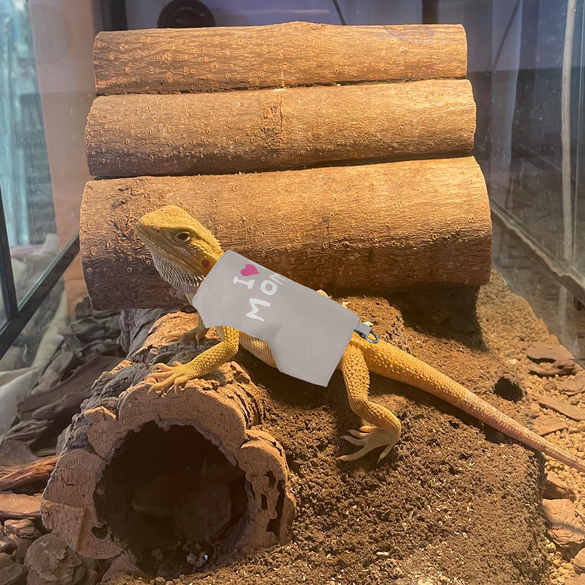 Adoggygo Mothers Day Bearded Dragon Harness Leash Set, Lizard Clothe Costume Adjustable Reptile Harness With 5Ft Leash For Beard