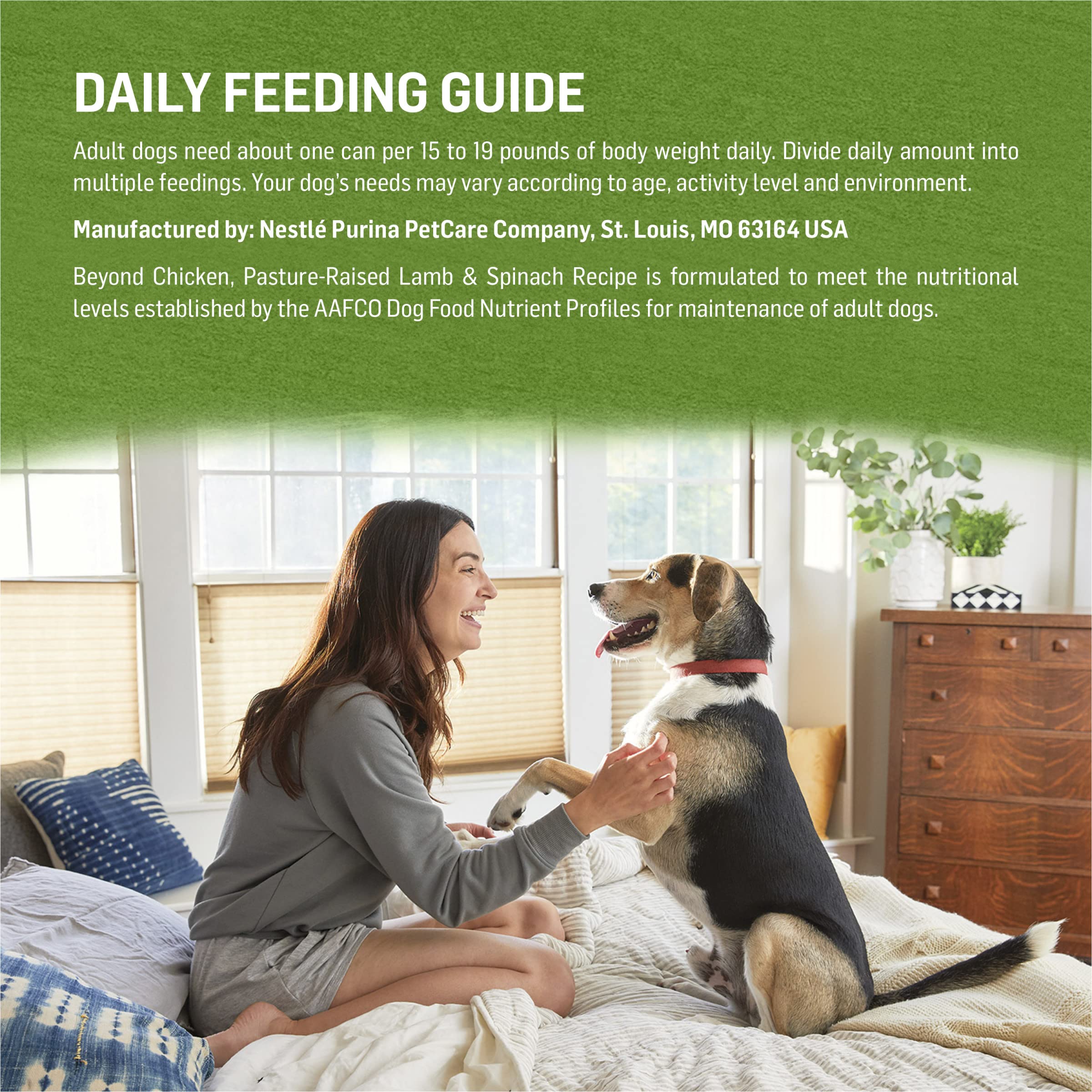 Purina Beyond Grain Free, Natural Pate Wet Dog Food, Grain Free Chicken, Lamb &amp; Spinach Recipe - (12) 13 oz. Cans