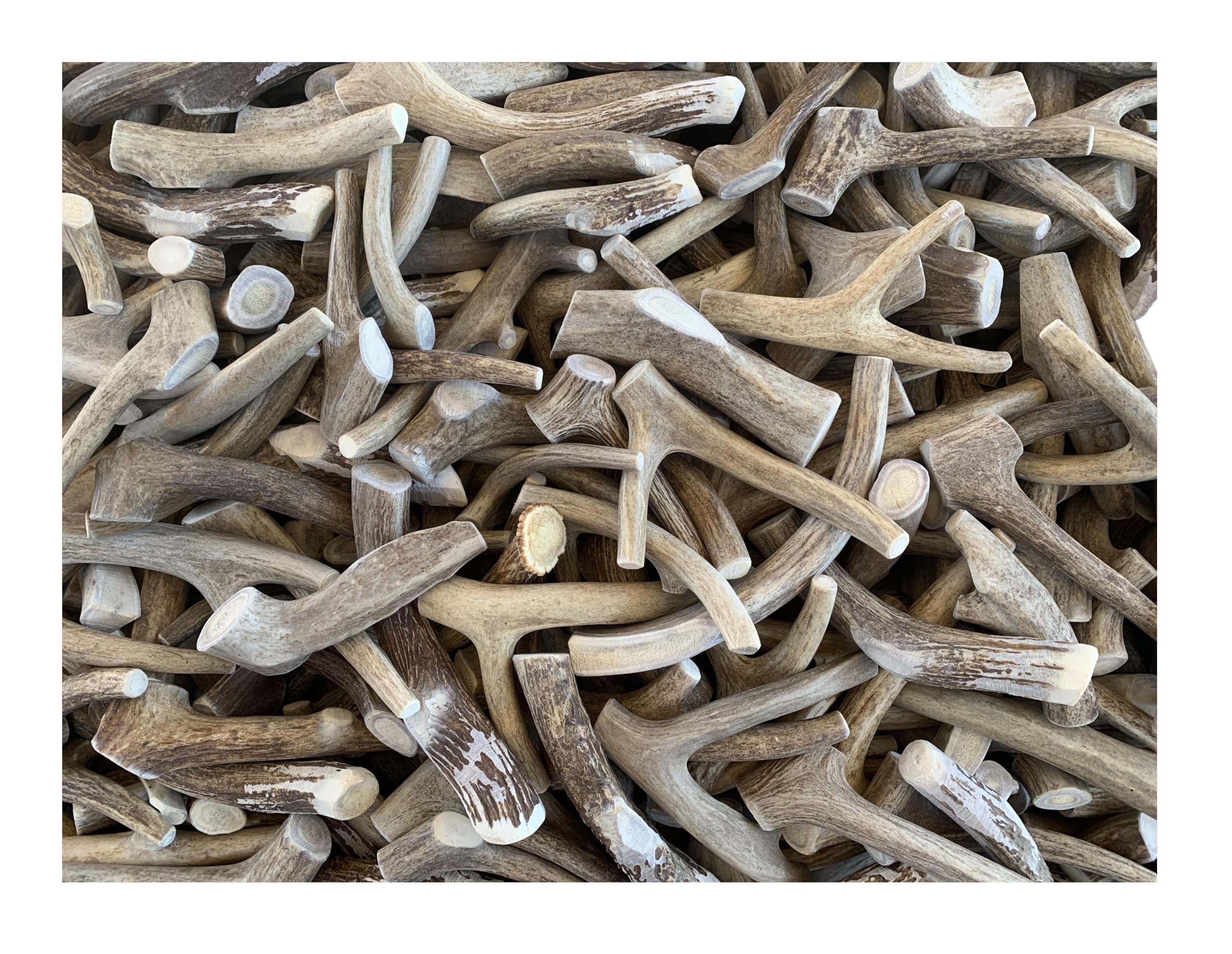 Antler Man Premium Deer Antler Pieces - Dog Chews - Sold by The Pound