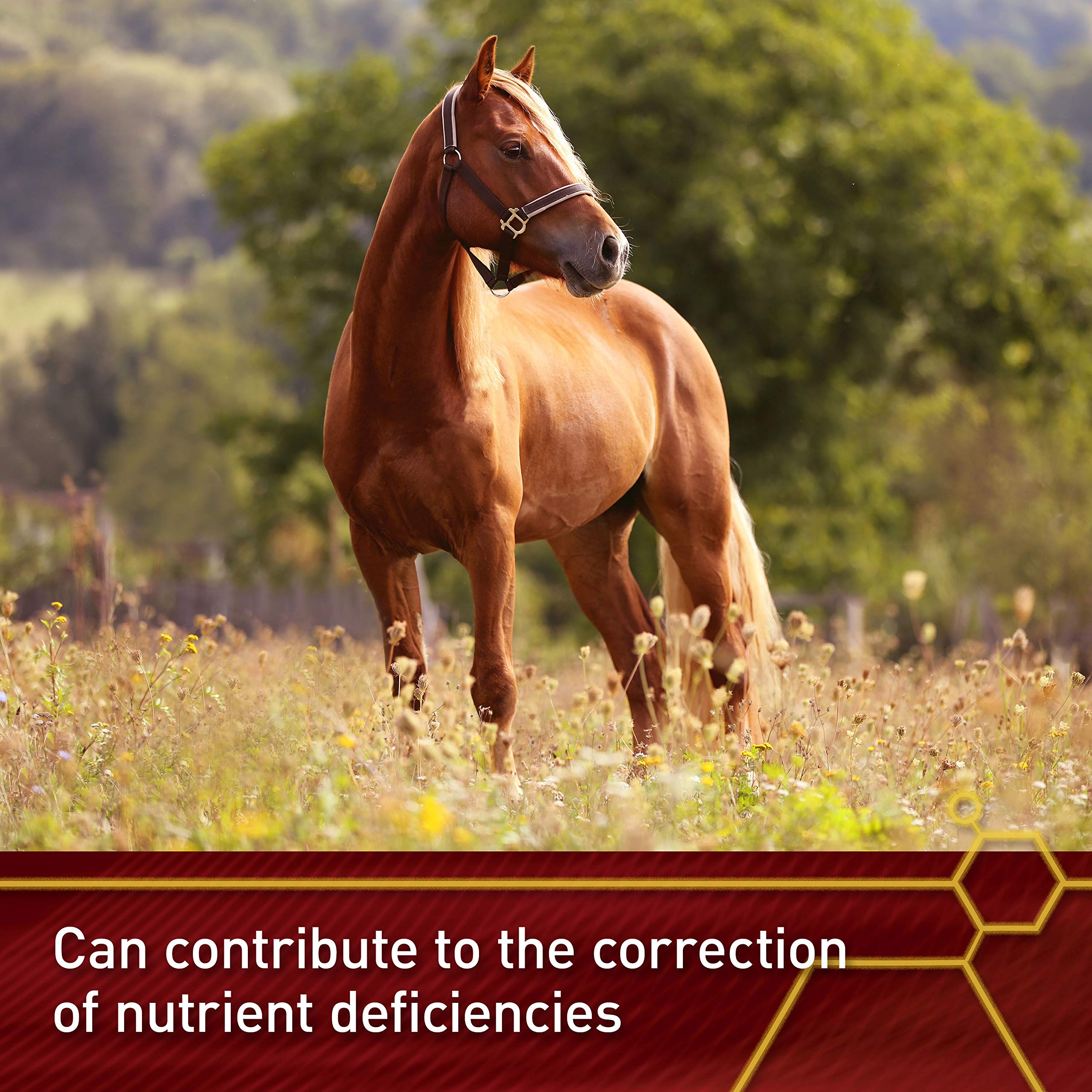 Vita Flex Pro E and Horse Selenium Supplement, Balanced Essential Antioxidants, 4 Pound, 64-Day Supply