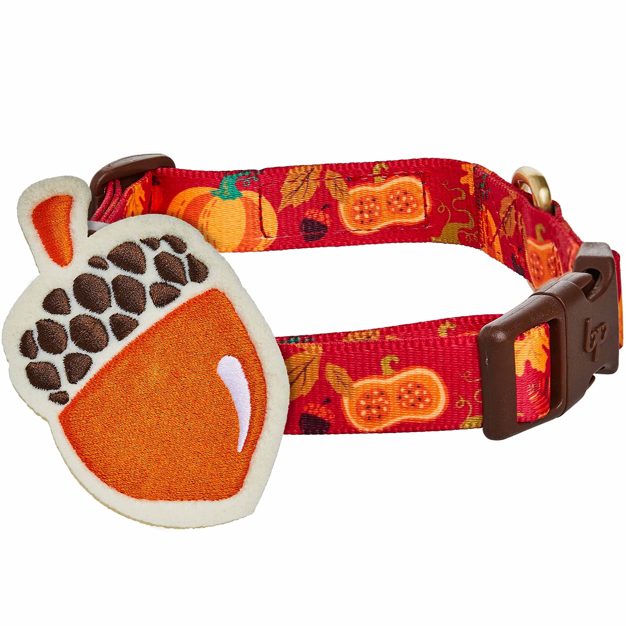Blueberry Pet Thanksgiving Fall Pumpkin and Acorn Adjustable Dog Collar with Detachable Accessory, Large, Neck 18''-26''