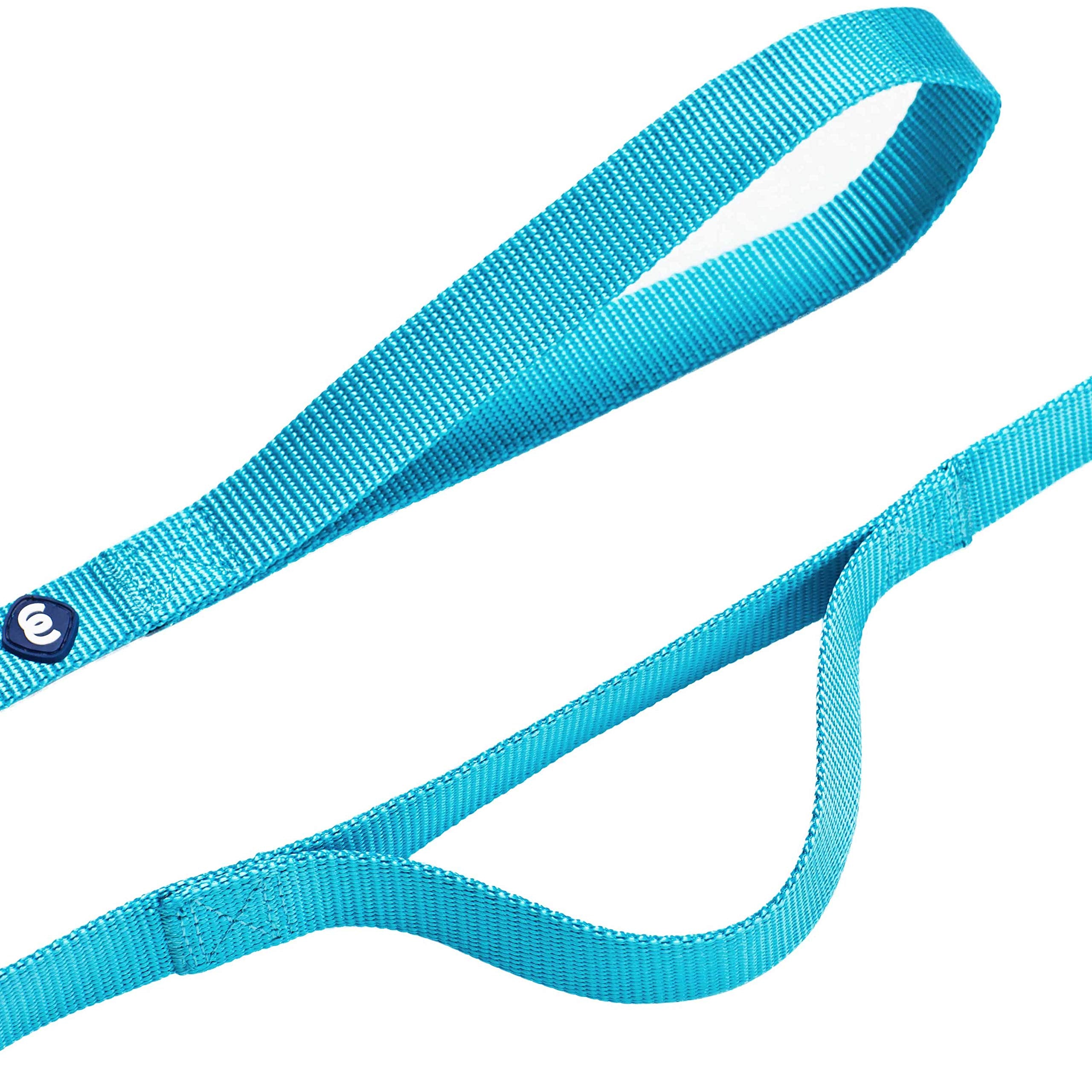 Blueberry Pet Essentials Durable Classic Dog Leash 5 Ft X 5/8', Turquoise, Small, Double Handle Leashes For Dogs