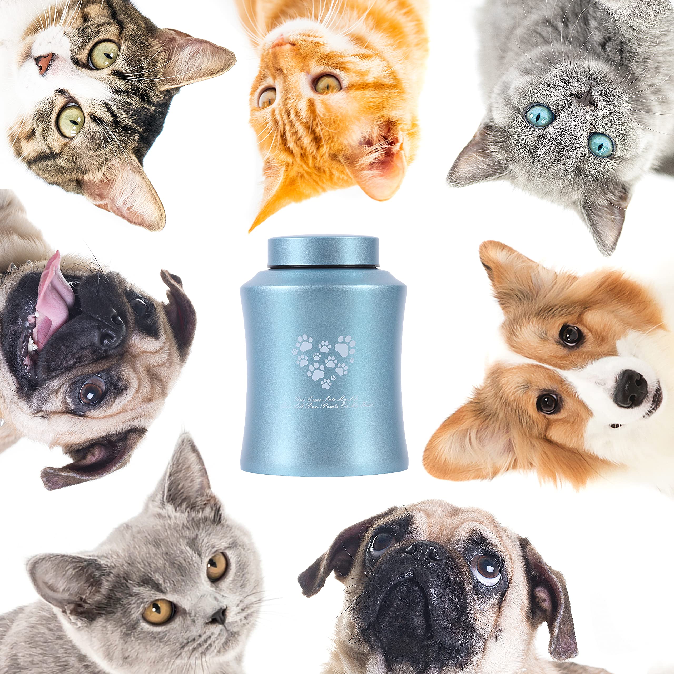 Stainlee Steel Pet Urns,Premium Urns For Dog And Cat Ashes,Paws Engraved Dog Urn For Ashes,Cat Creamtion Urn For Ashes,Pet Urn For Large Dog