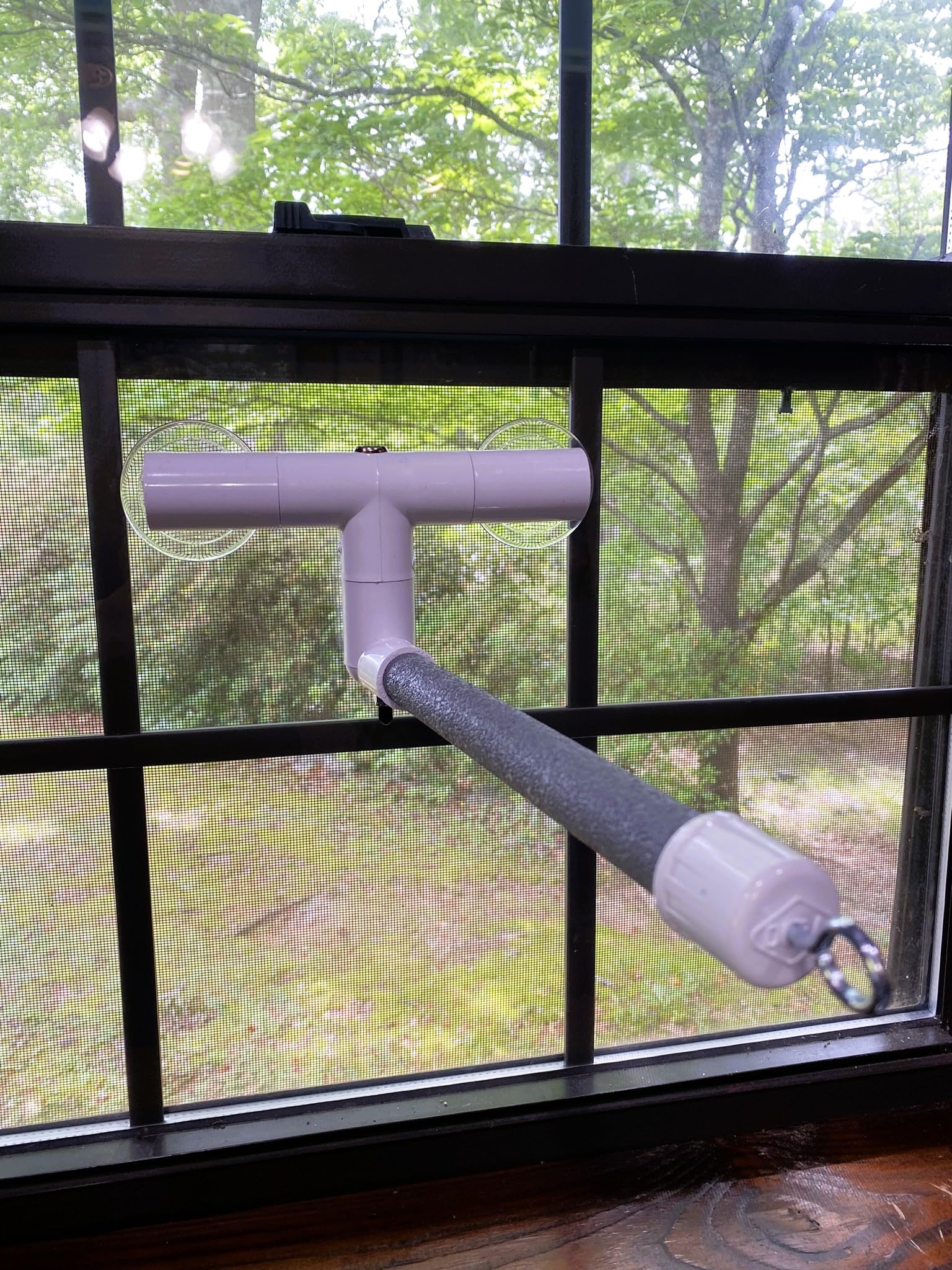 Polly'S Deluxe Window And Shower Bird Perch, Small