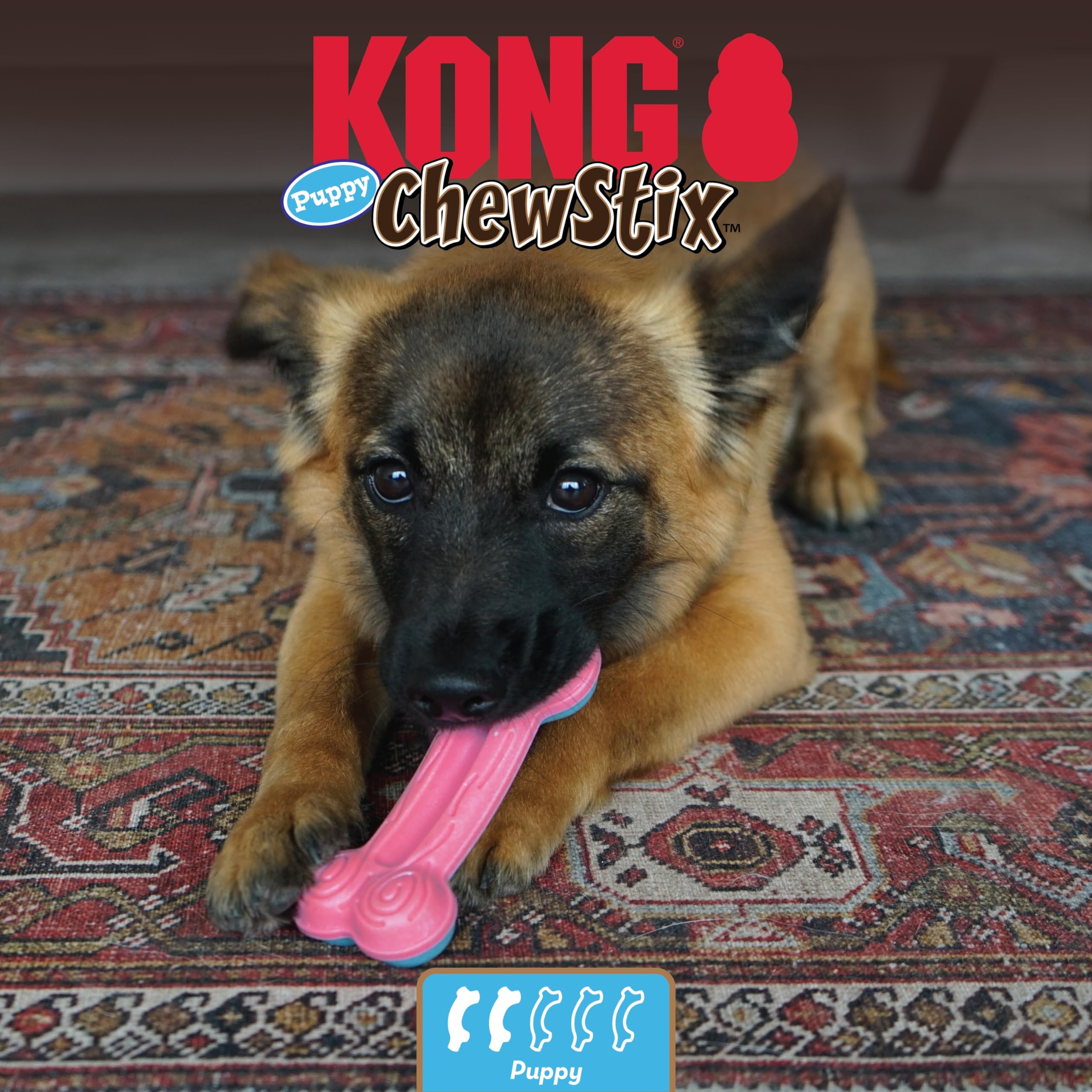 Kong Chewstix Puppy Curve Bone Md
