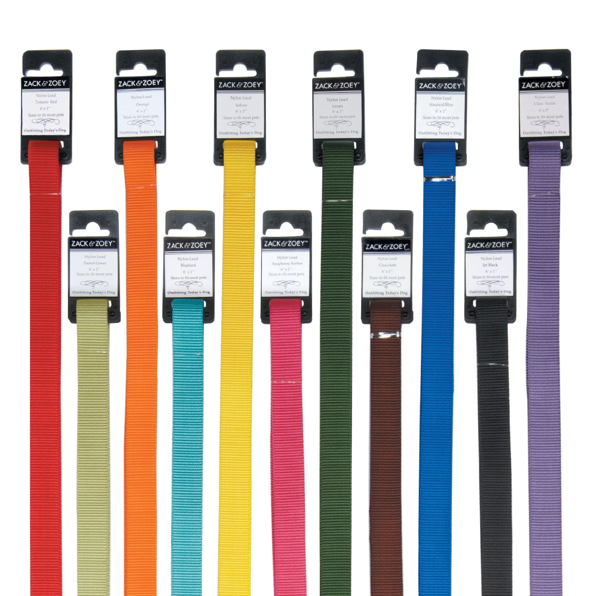 Zack & Zoey Basic Nylon Dog Leash, 6-Feet X 5/8-Inch Lead, Orange