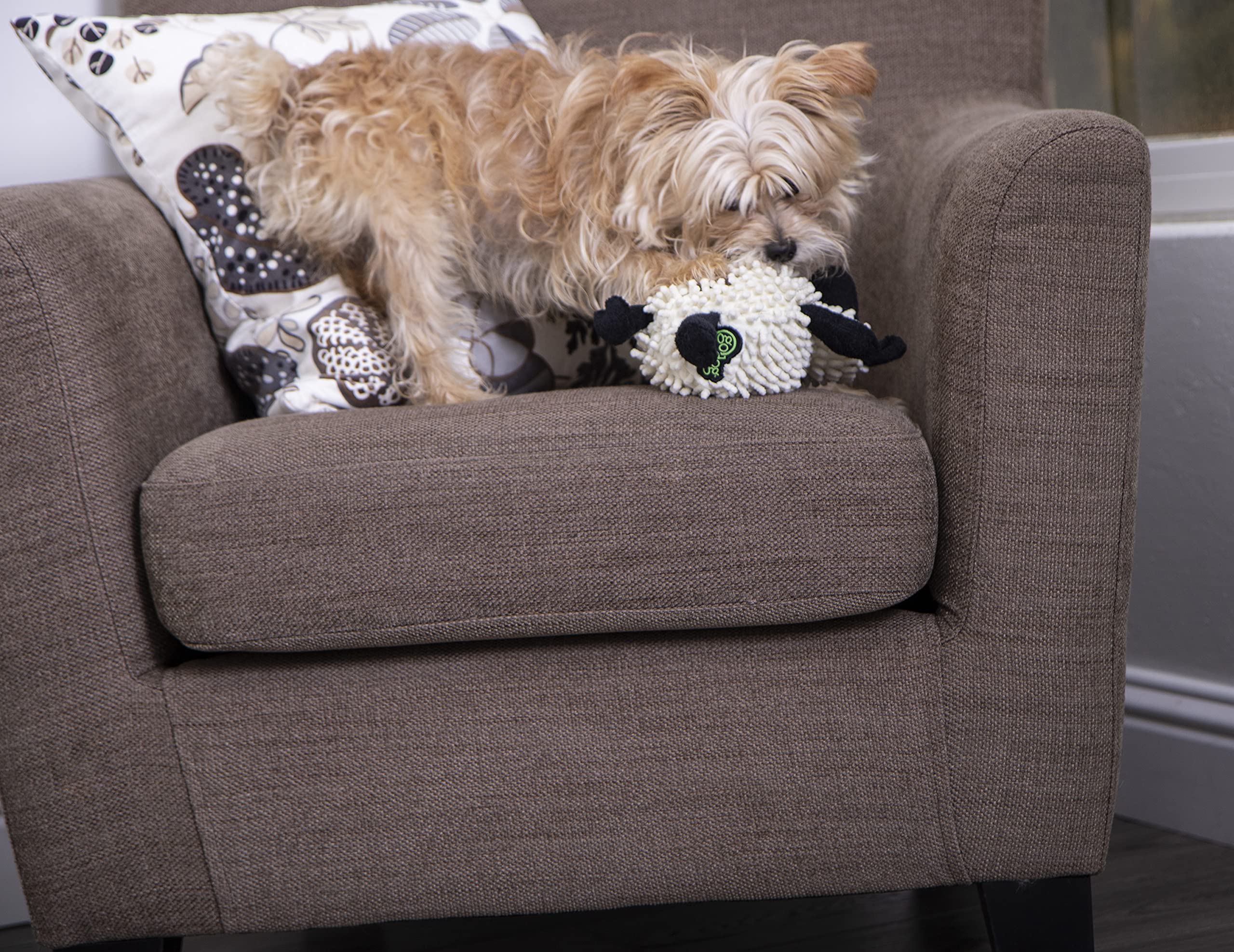 Godog Fuzzy Wuzzy Lamb Squeaky Plush Dog Toy, Chew Guard Technology - Assorted, Small