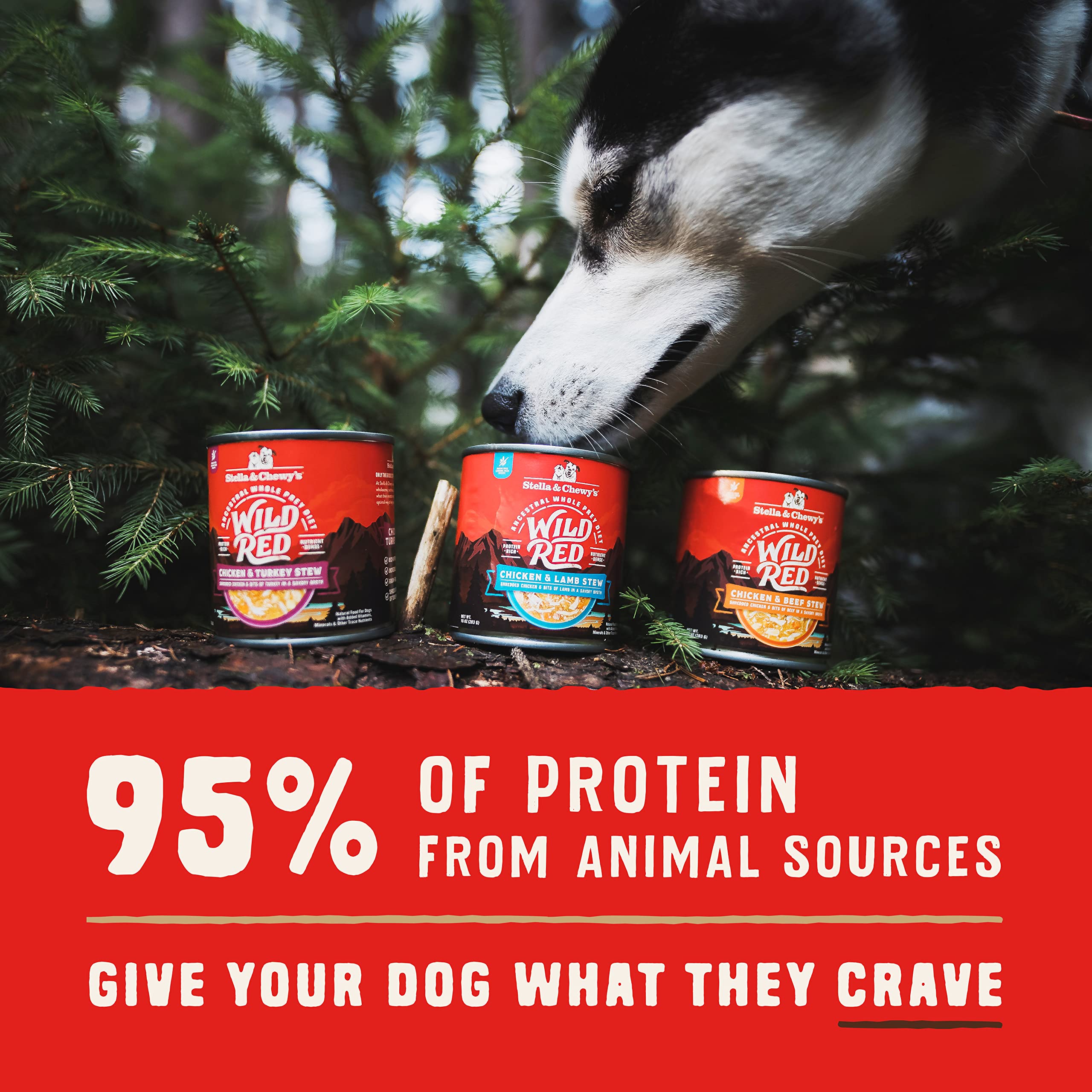 Stella & Chewys Wild Red Wet Dog Food Chicken & Turkey Stew High Protein Recipe, 10 Ounce (Pack of 6)