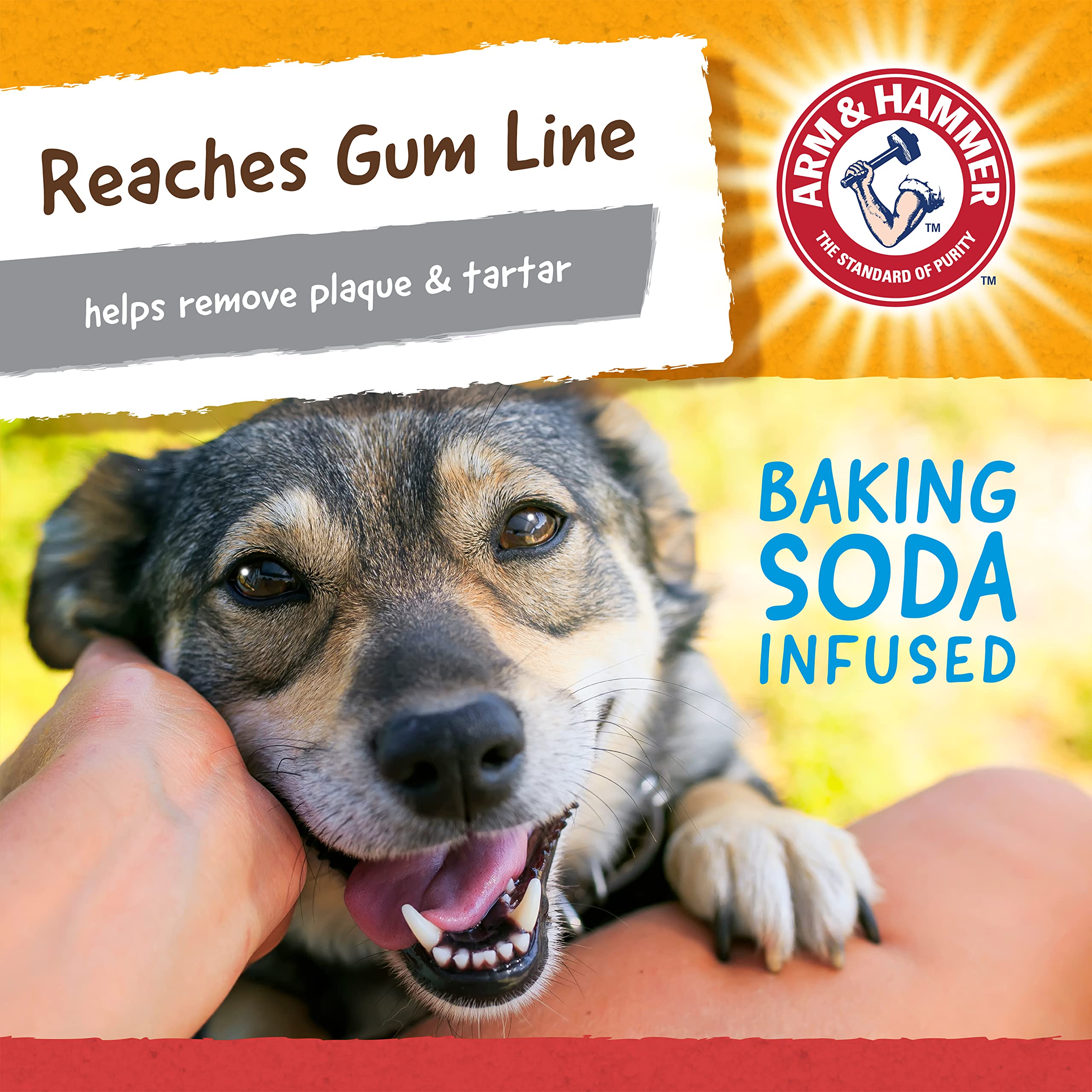 Arm & Hammer for Pets Nubbies Wishbone Dog Dental Toy | Best Dog Chew Toy for Moderate Chewers | Helps Reduce Plaque & Tartar |