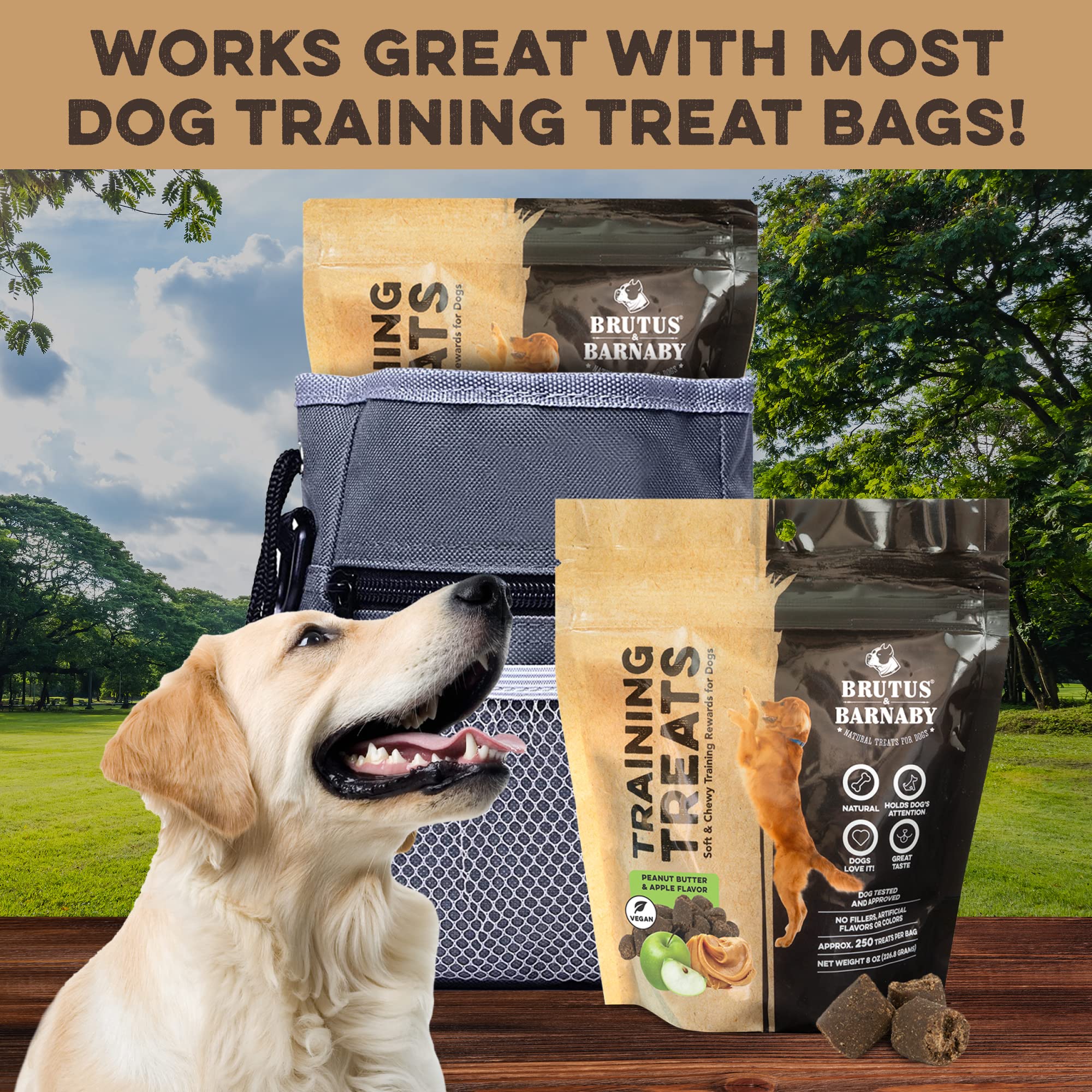 BRUTUS & BARNABY Training Treats for Dogs - Peanut Butter & Apple - All-Natural Healthy Low Calorie Vegan Treat - Great to Use f