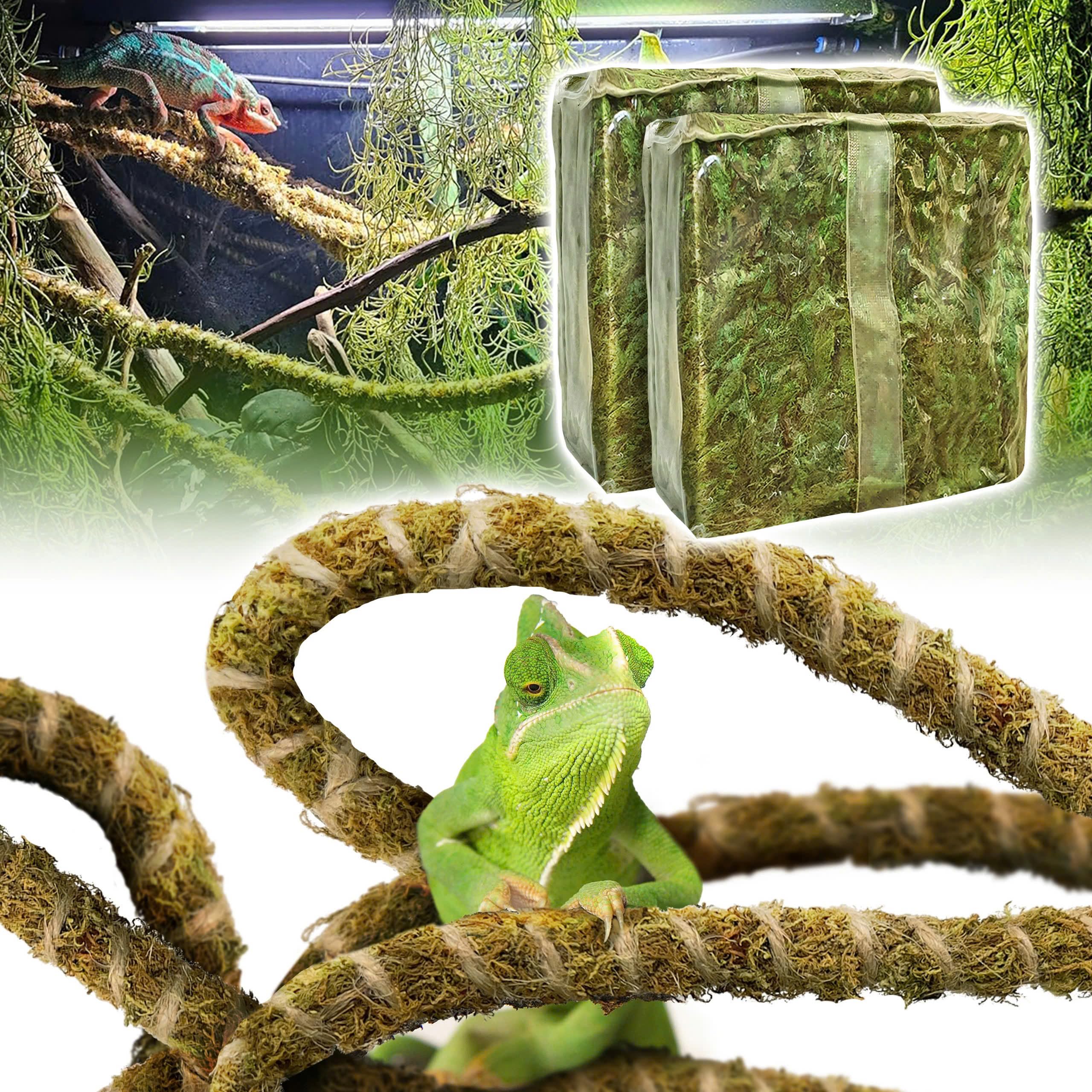 Duspro Reptile Decor Set Including 10Ft Reptile Vine Climbing Bendable Branch & 04 Oz Natural Dried Forest Moss Bag Ideal For Be