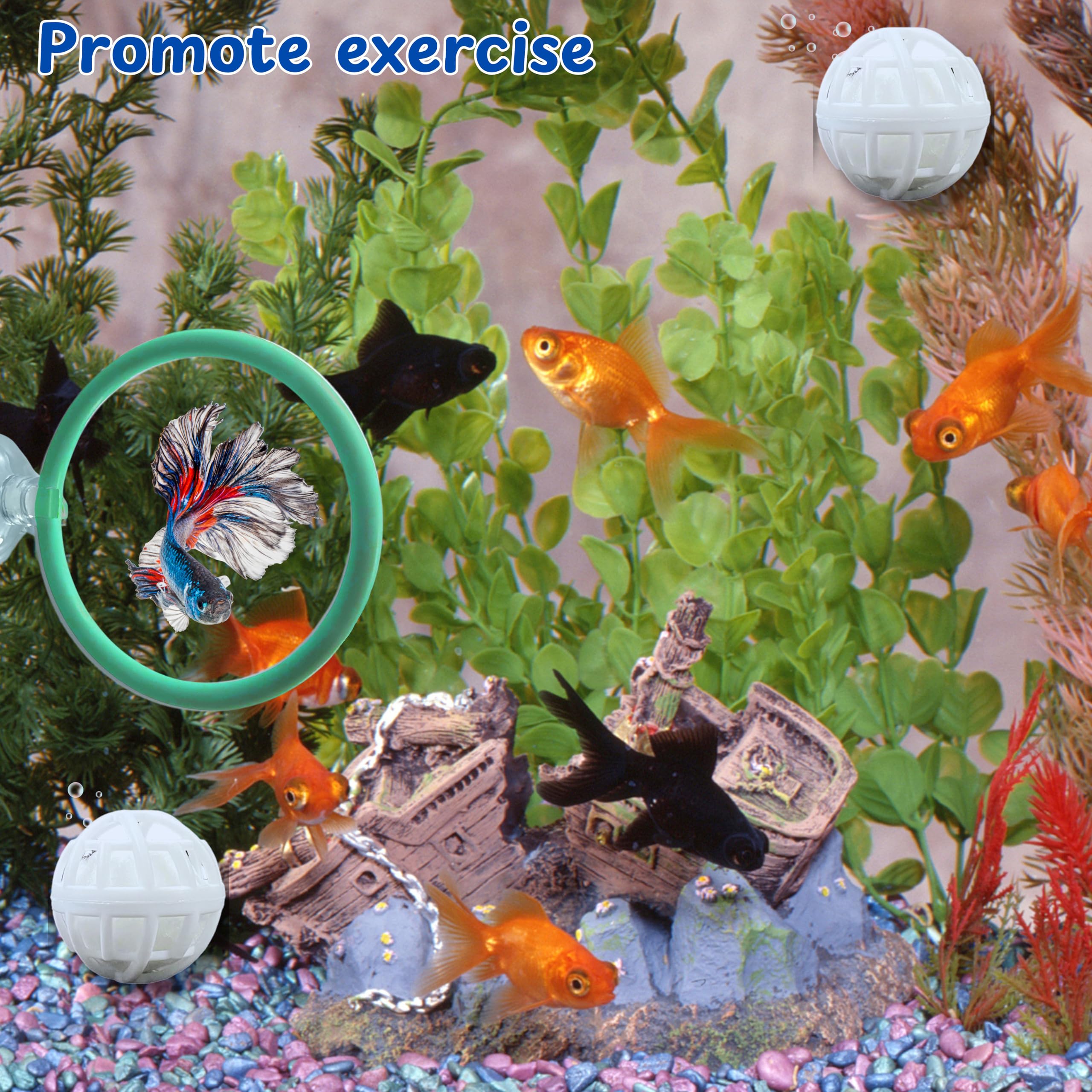 Betta Fish Exercise Ring And Filter Balls Set, Fish Feeder Ring And Nitrifying Ball, Betta Fish Toys For Small Tank, Betta Ring,