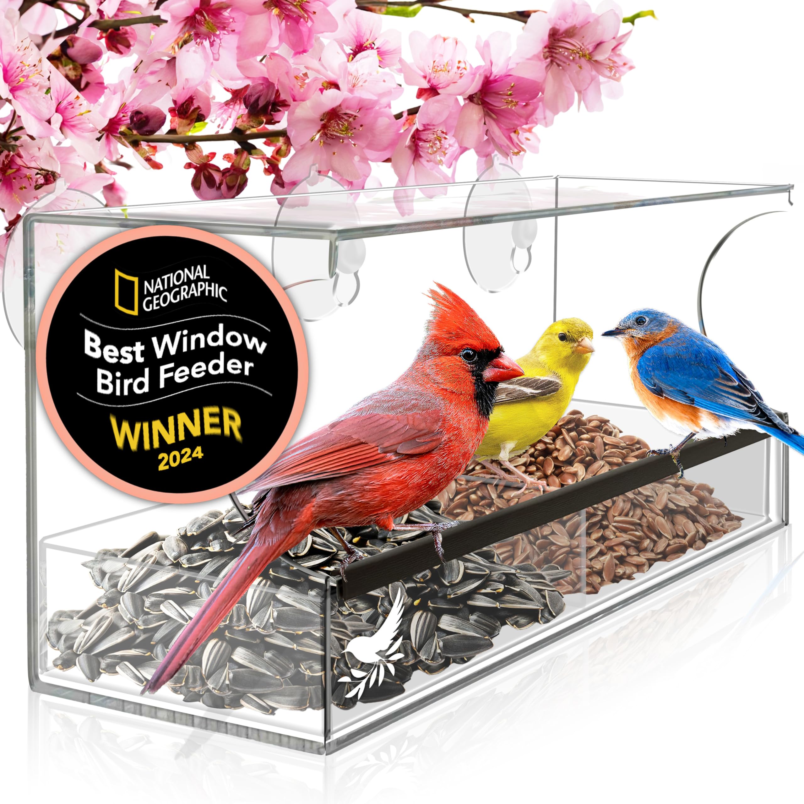 Window Bird Feeder Easy to Use to Attract Birds, Cool and Unusual for Adults who have Everything, Bird Watching Window Bird Feed