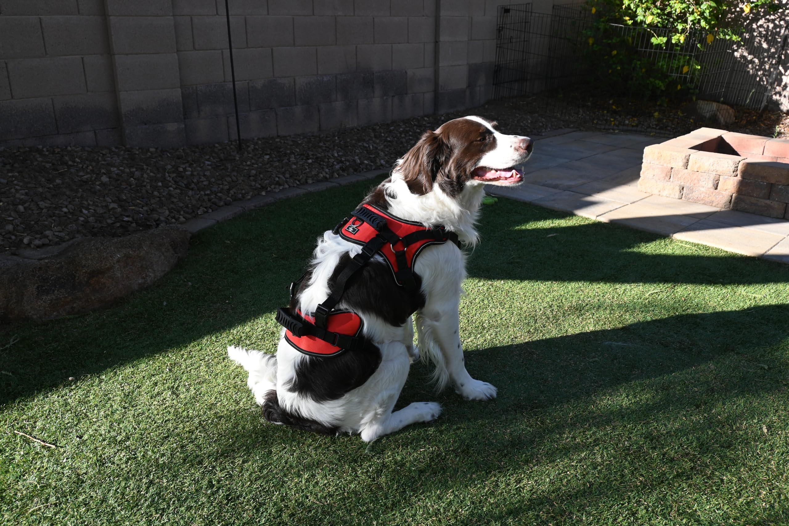 Doggie Stylz Multi-Functional Full-Body Lifting Dog Harness Vest, Designed For Front-Only, Rear-Only Or Full-Body Dog Lifting. P