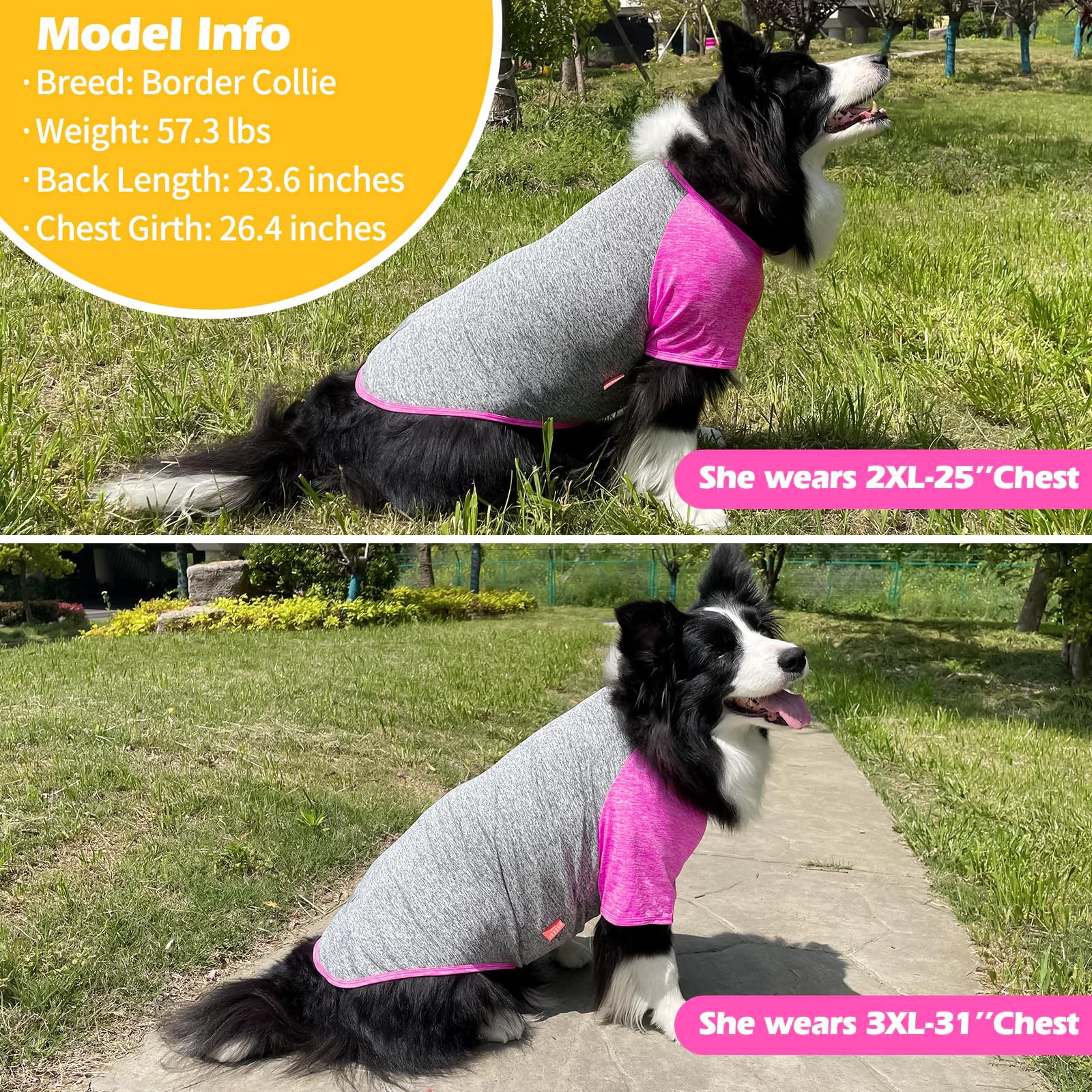 Kyeese Dog Shirts Quick Dry 2 Pack Breathable Lightweight Stretchy Dog T-Shirt With Reflective Label Pet Apparel,3Xl