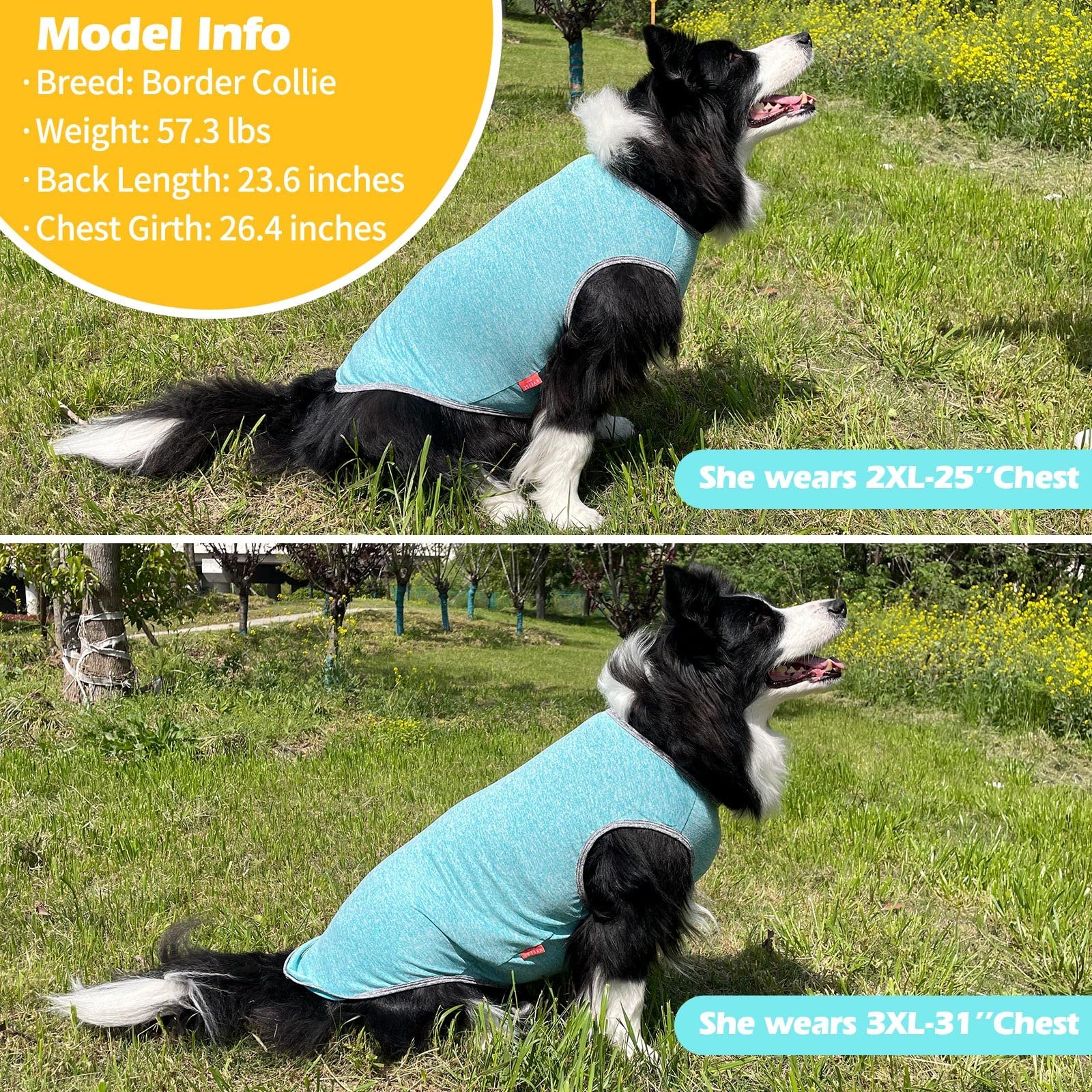Kyeese 2 Pack Dog Shirts For Large Dogs Quick Dry Breathable Stretchy Sun Protection Dog T-Shirts With Reflective Label Tank Top