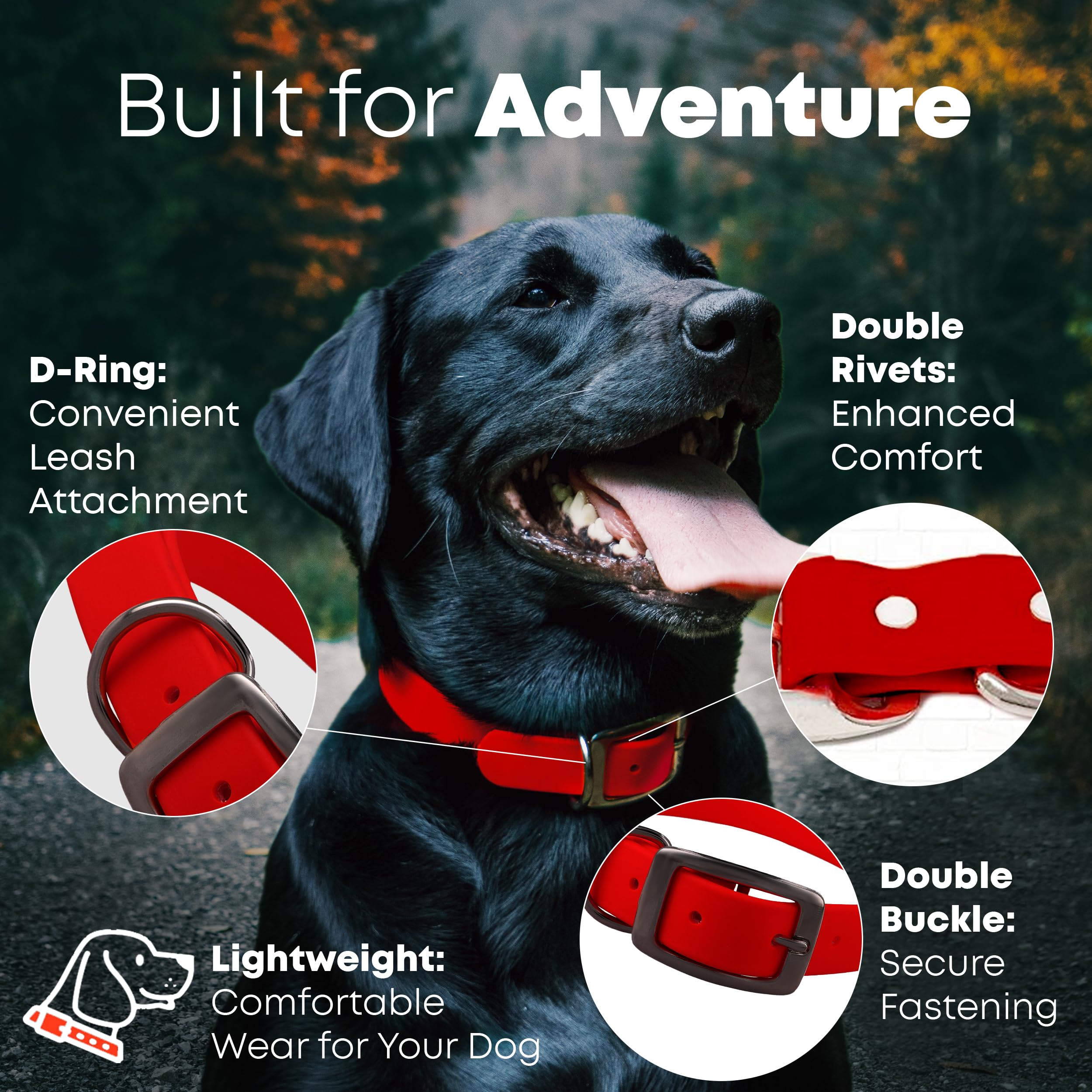 Regal Dog Products Medium Red Dog Collar With Heavy Duty Double Buckle & D Ring | Vinyl Coated, Custom Fit, Adjustable Biothane