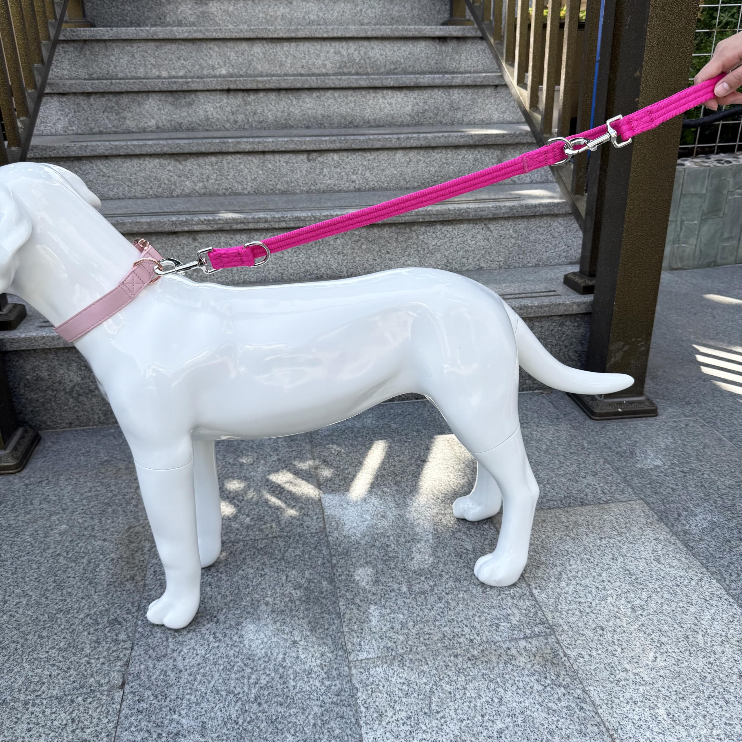 Double Ended Dog Leash,For Obedience Training Easy To Use,Lightweight,Soft For Large And Medium Dogs (Fuchsia, 1M*2.5Cm)