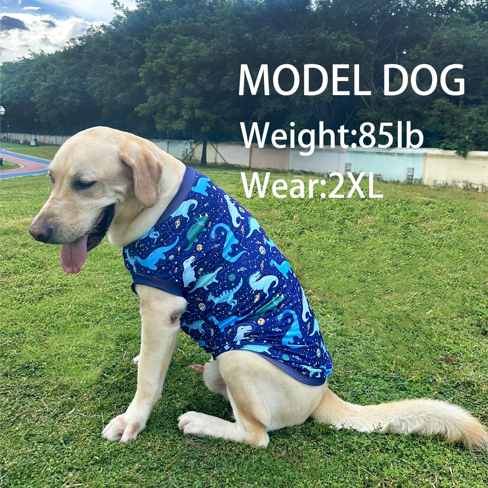 PriPre Dog Navy Sleeveless T Shirts with Universe Dinosaur Pattern Printed Soft Vest for Large Dogs (2XL, Vest)