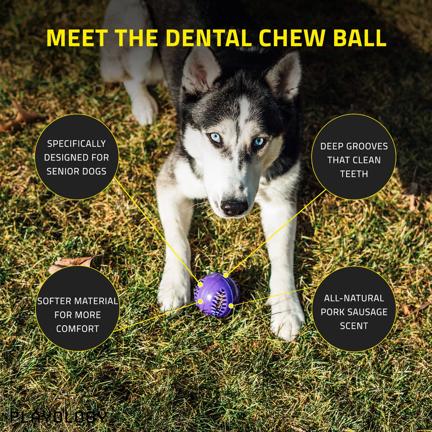 Playology Silver - Dental Chew Ball Dog Toy, Design For Medium Breed Senior Dogs (15-35Lbs) - Engaging All-Natural Pork Sausage Scent - Non-Toxic Materials And Moderate Chewing For Older Teeth