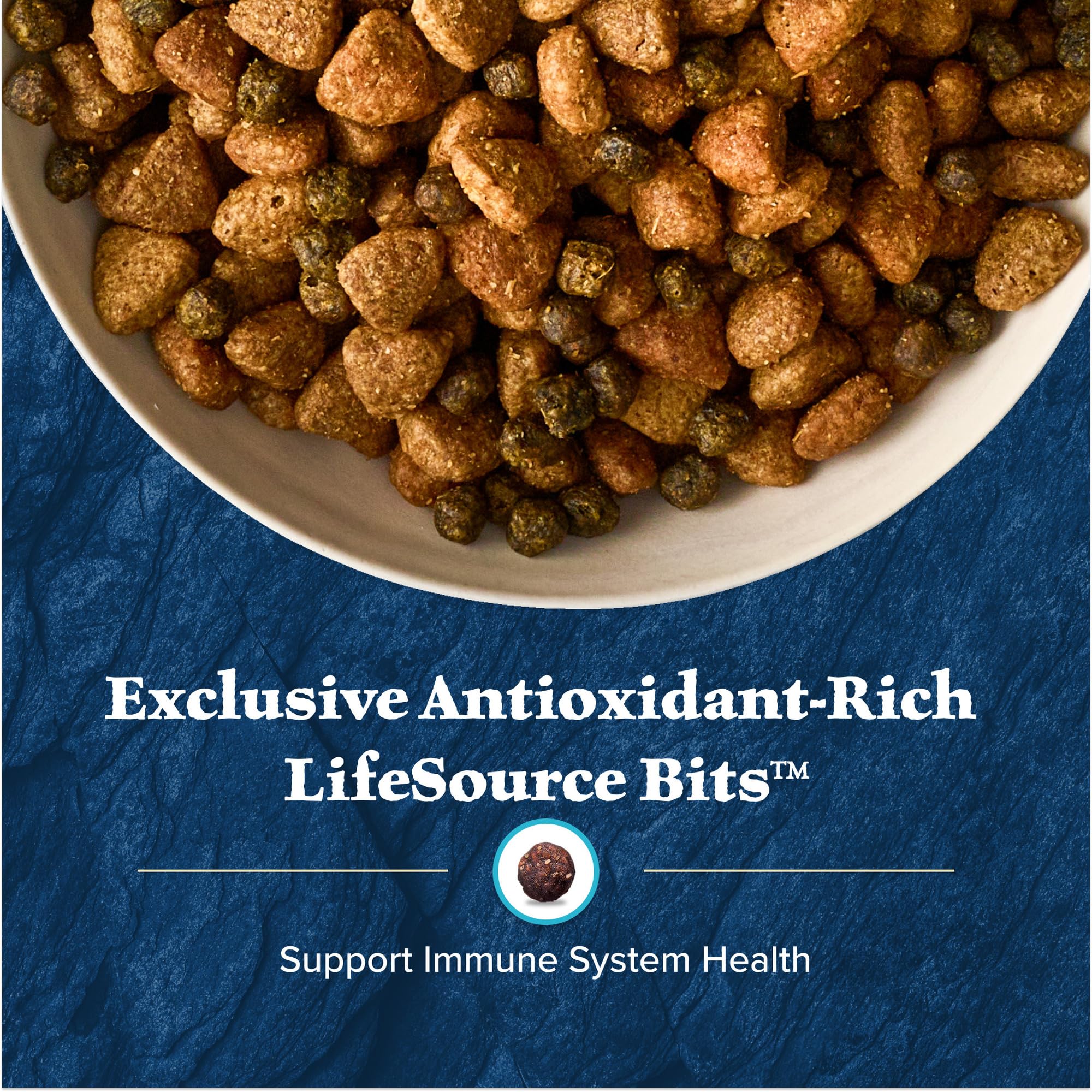 Blue Buffalo Wilderness Rocky Mountain Recipe High-Protein Dry Puppy Food with DHA, Made in the USA with Natural Ingredients Plu