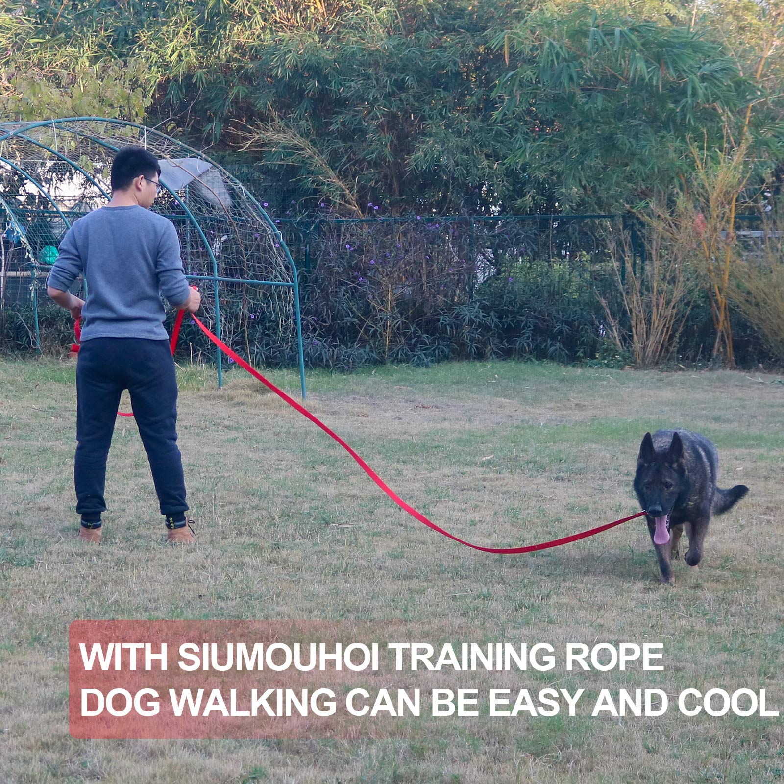 Dog/Puppy Obedience Recall Training Agility Lead - 15ft 20ft 30ft 40ft 50ft Training Leash - Great for Play, Camping, or Backyar
