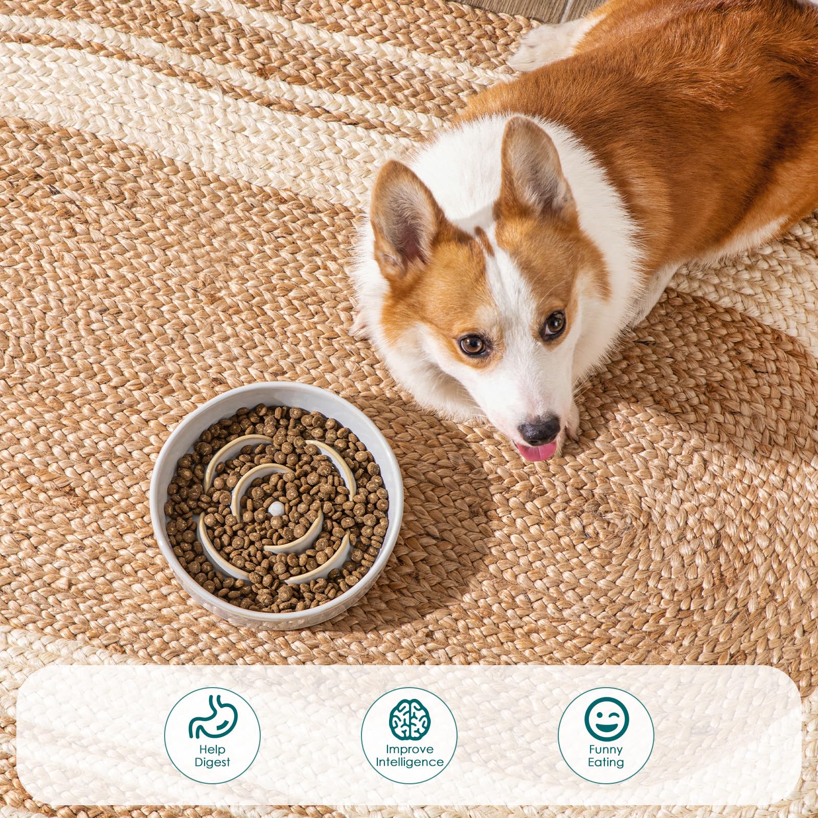 vancasso Slow Feeder Dog Bowl, 1.5 Cups Ceramic Slow Feeder for Medium Breed, Puzzle Maze Dog Food Bowl for Fast Eater, Light Gr