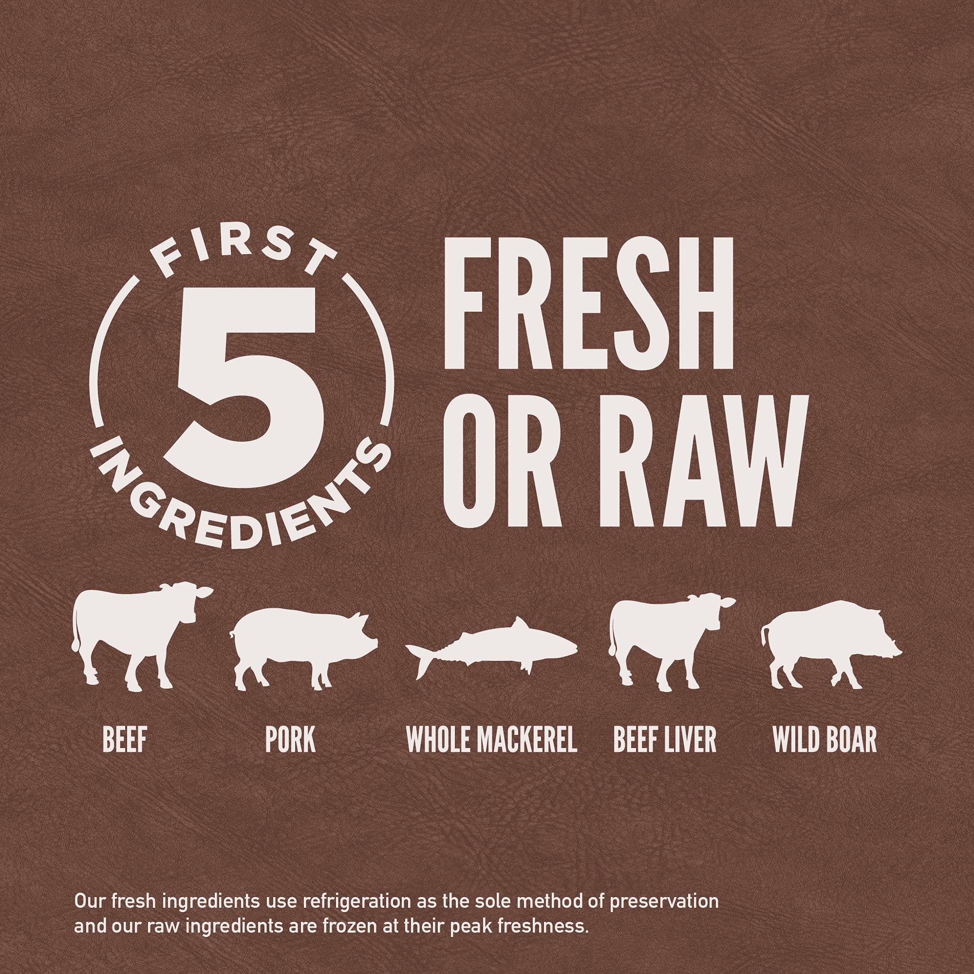 ORIJEN Grain Free High Protein Premium Dry Cat Food Regional Red Recipe 12lb Bag
