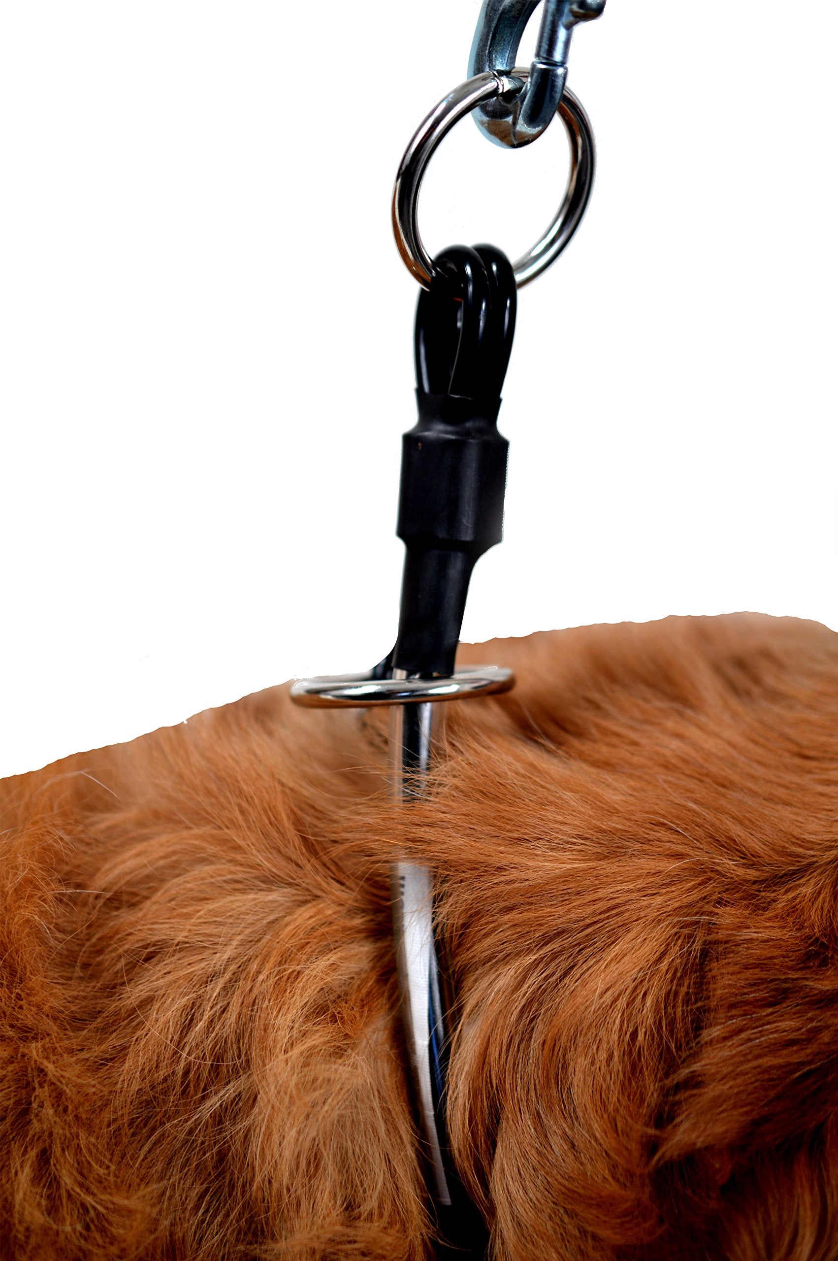 Hair Saver Choker Collar (22' Lightweight) By Proguard Pets