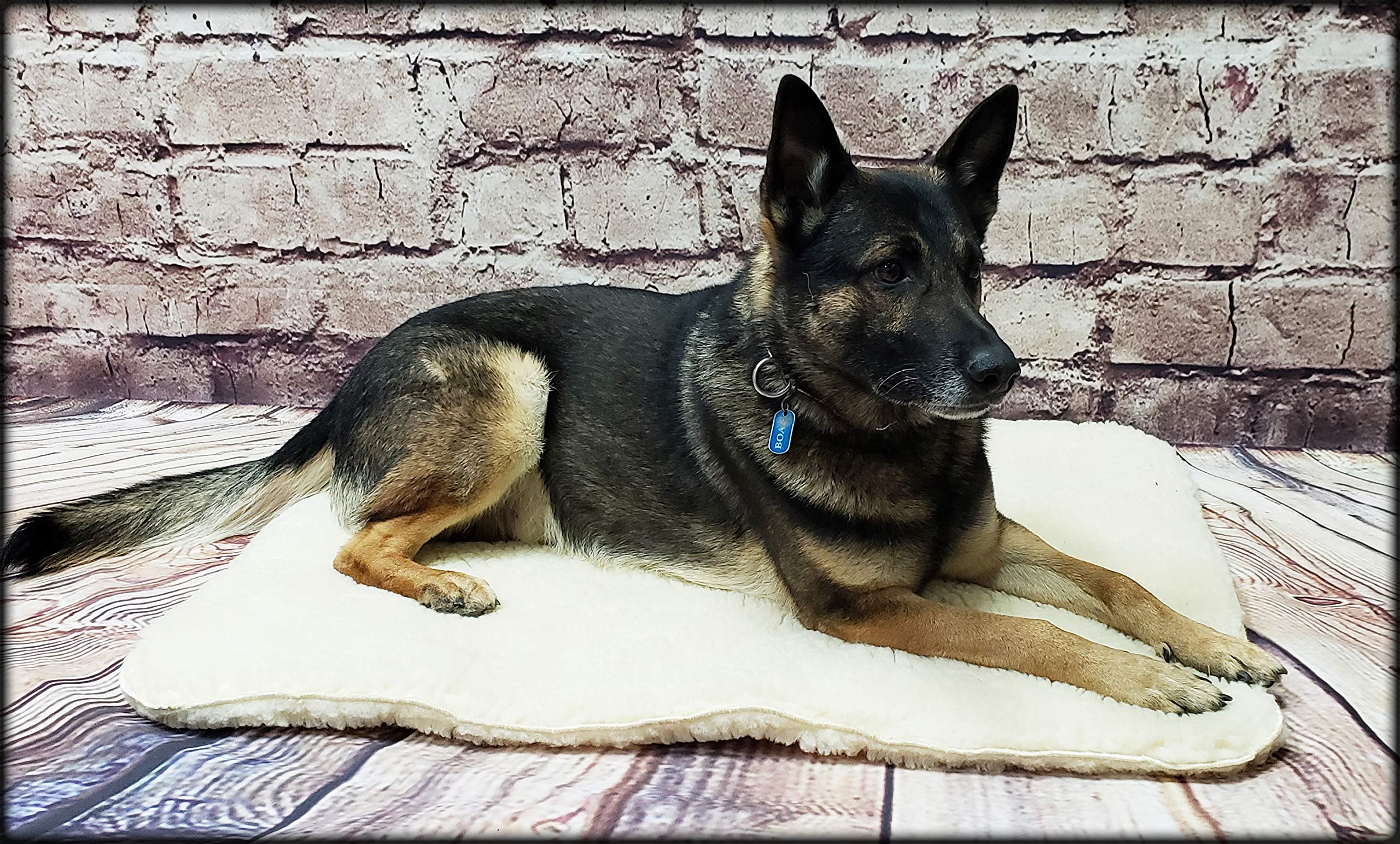 Activedogs Hi Loft Sherpa Faux Lambskin Dog Bed - Large 30X40 - Orthopedic & Machine Washable - Double Layered