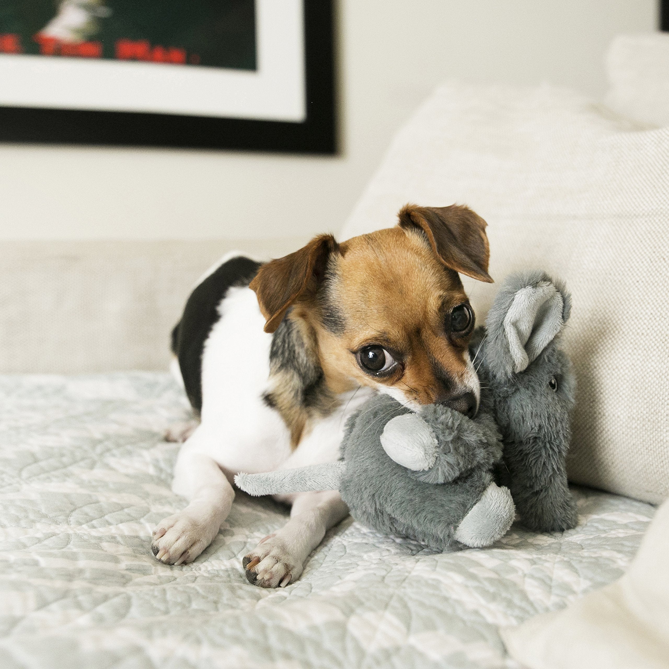 Kong Comfort Kiddos Elephant Dog Toy, X-Small