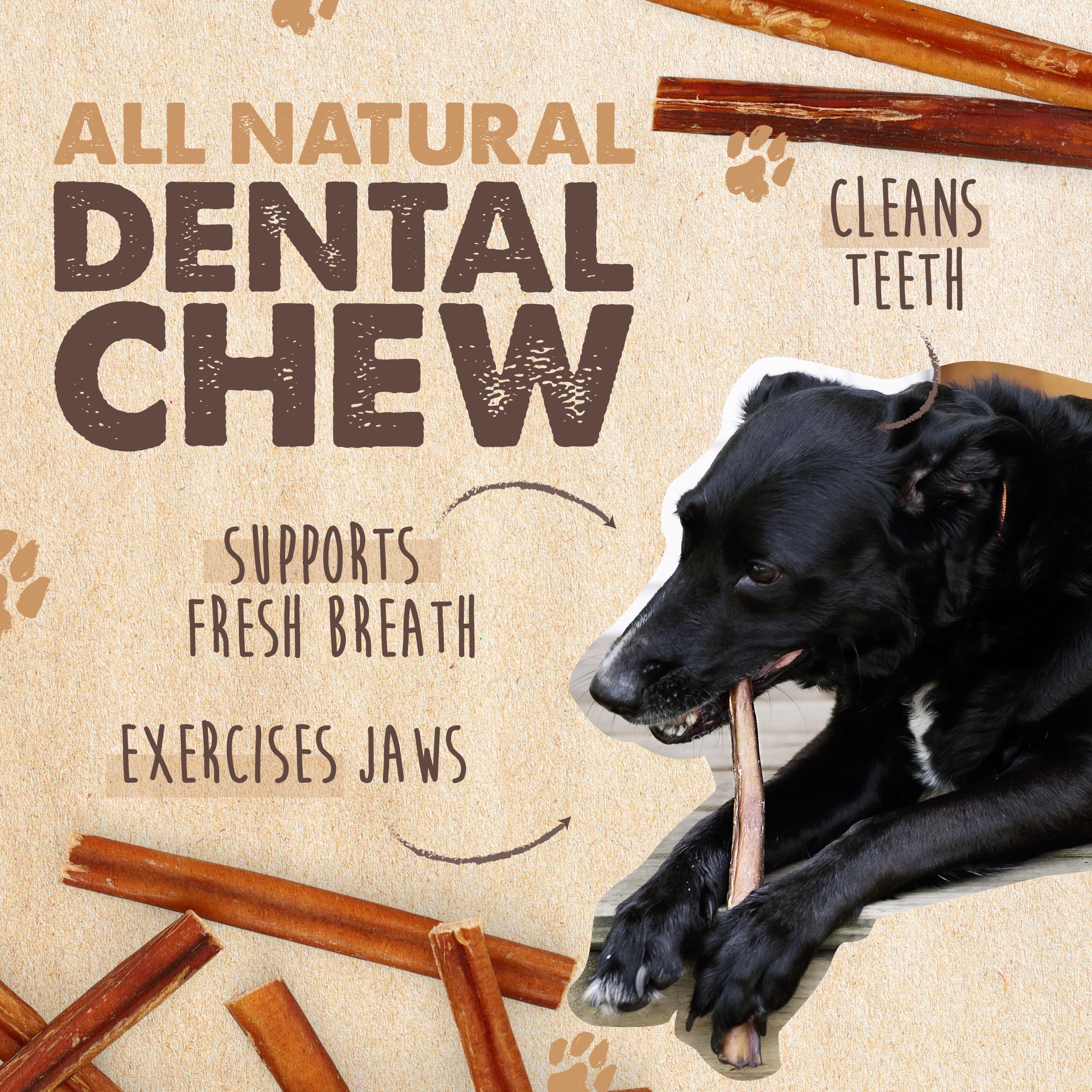 Mighty Paw Bully Sticks for Small & Medium Dogs - Grass Fed Beef Chews, Lower Odor, 6" - 10 Pack, 1.2 Ounce
