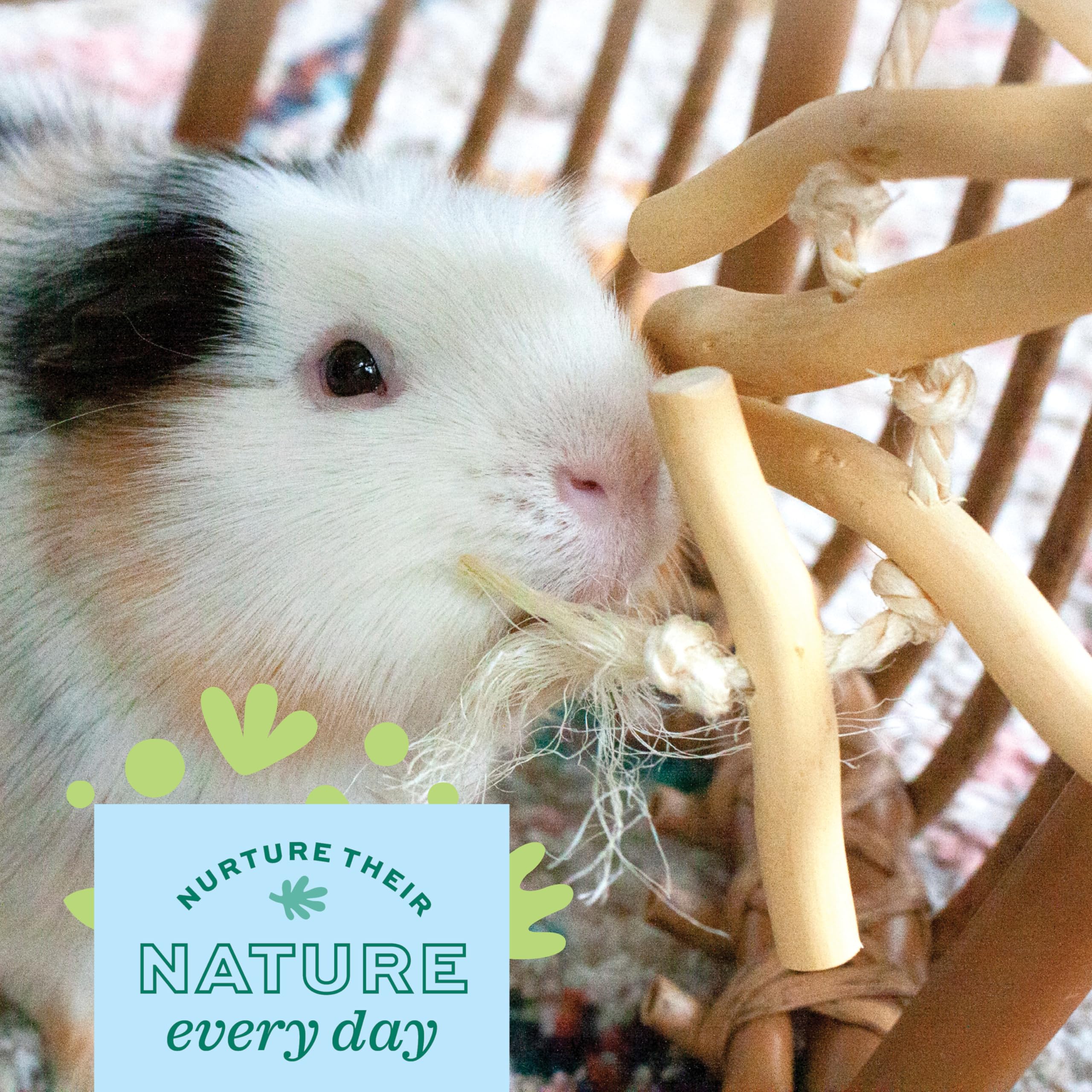 Oxbow Enriched Life Natural Dangly Party Pack, Rabbit Toys, Guinea Pig Toys, Enrichment for Bunny, Guinea Pig, Hamster Stuff, Ra