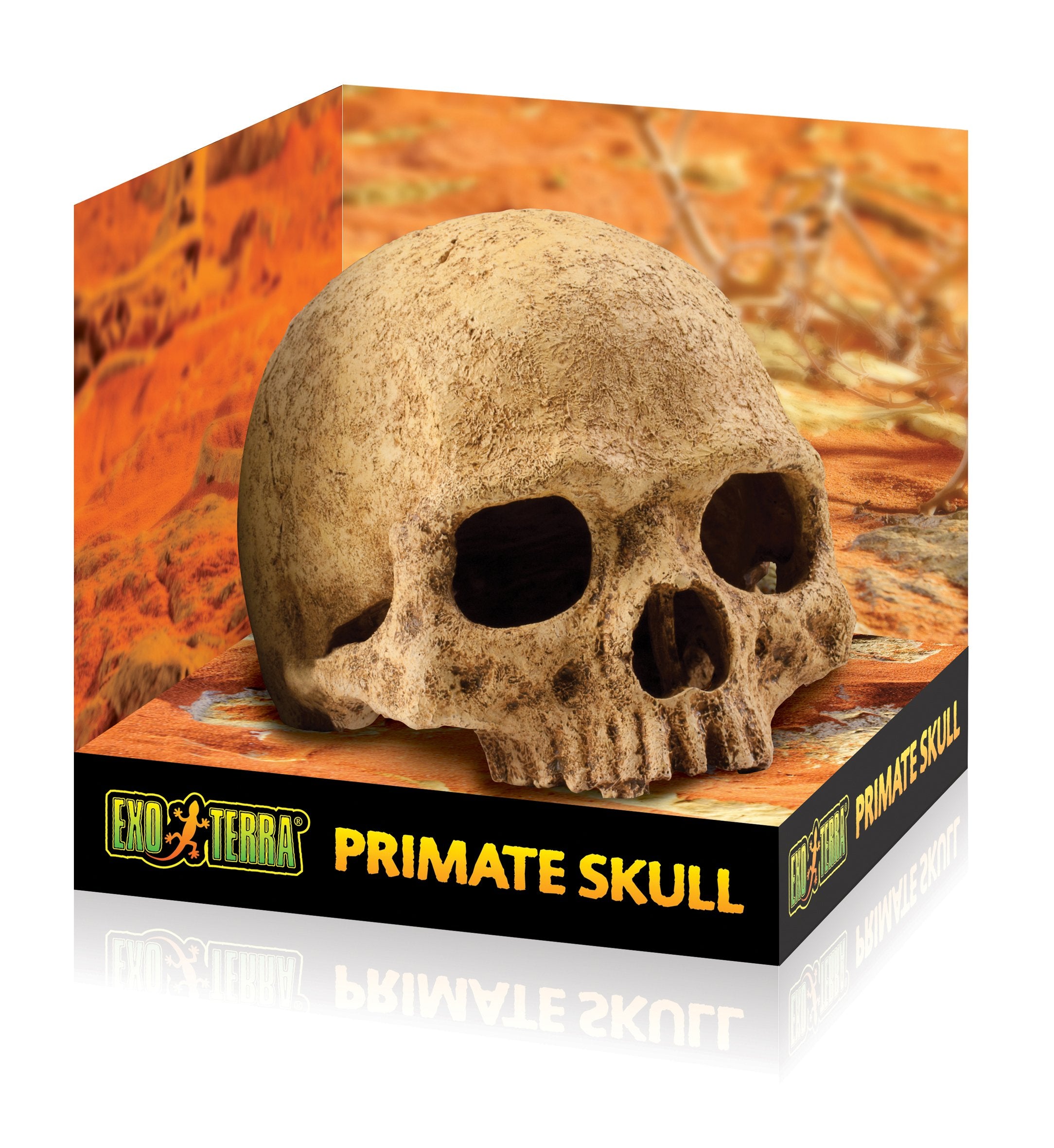Exo Terra Terrarium Decor Primate Skull