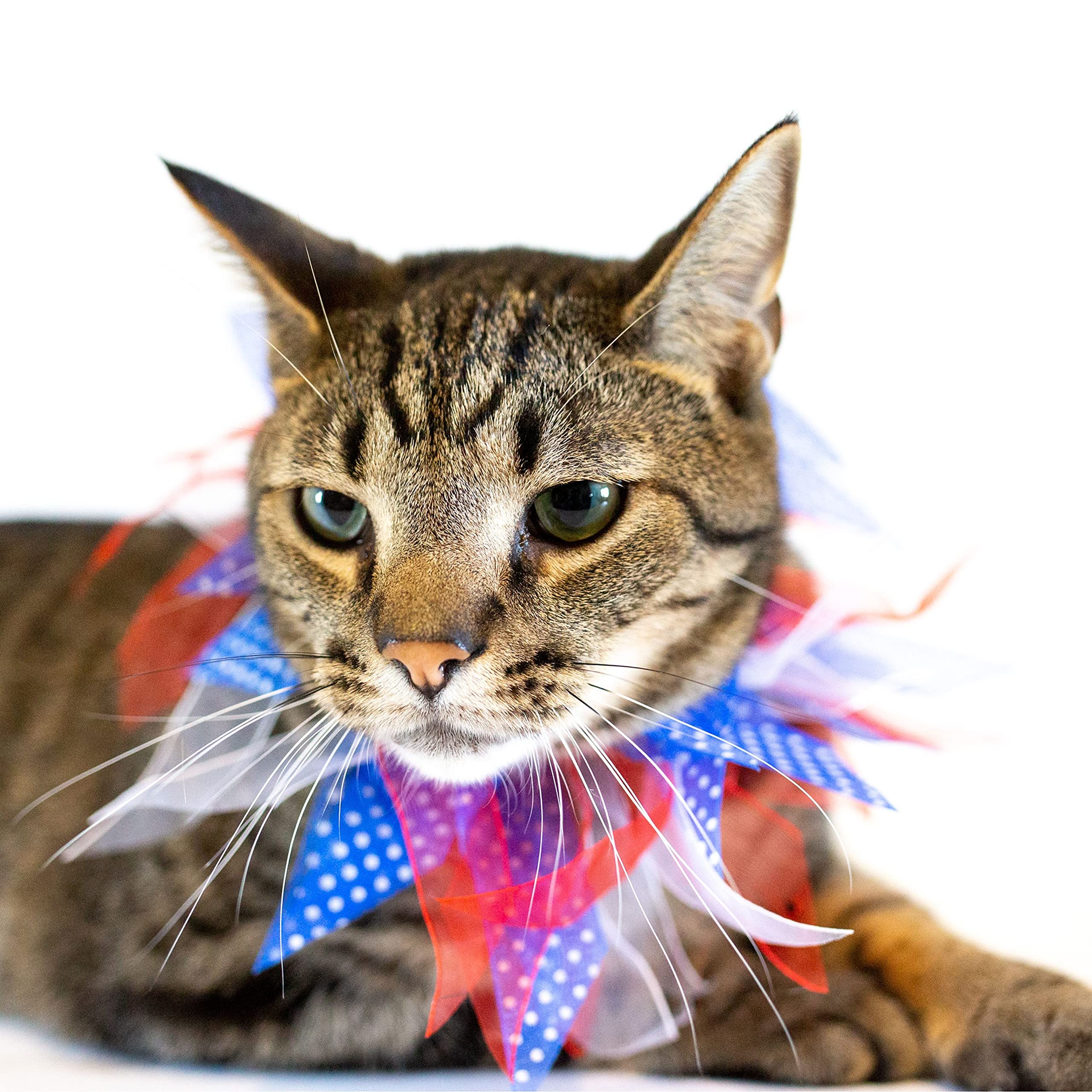 Midlee Medium Patriotic Dots 4Th Of July Dog Collar