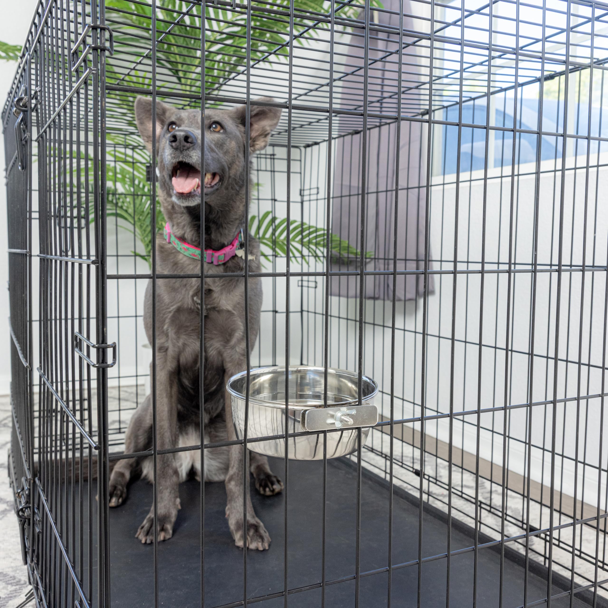 SPOT Coop Cup Bolt Clamp - Stainless Steel Hanging Bowl for Crate, Secure Pet Feeding Dish, Easy Installation, Chew-Proof Design