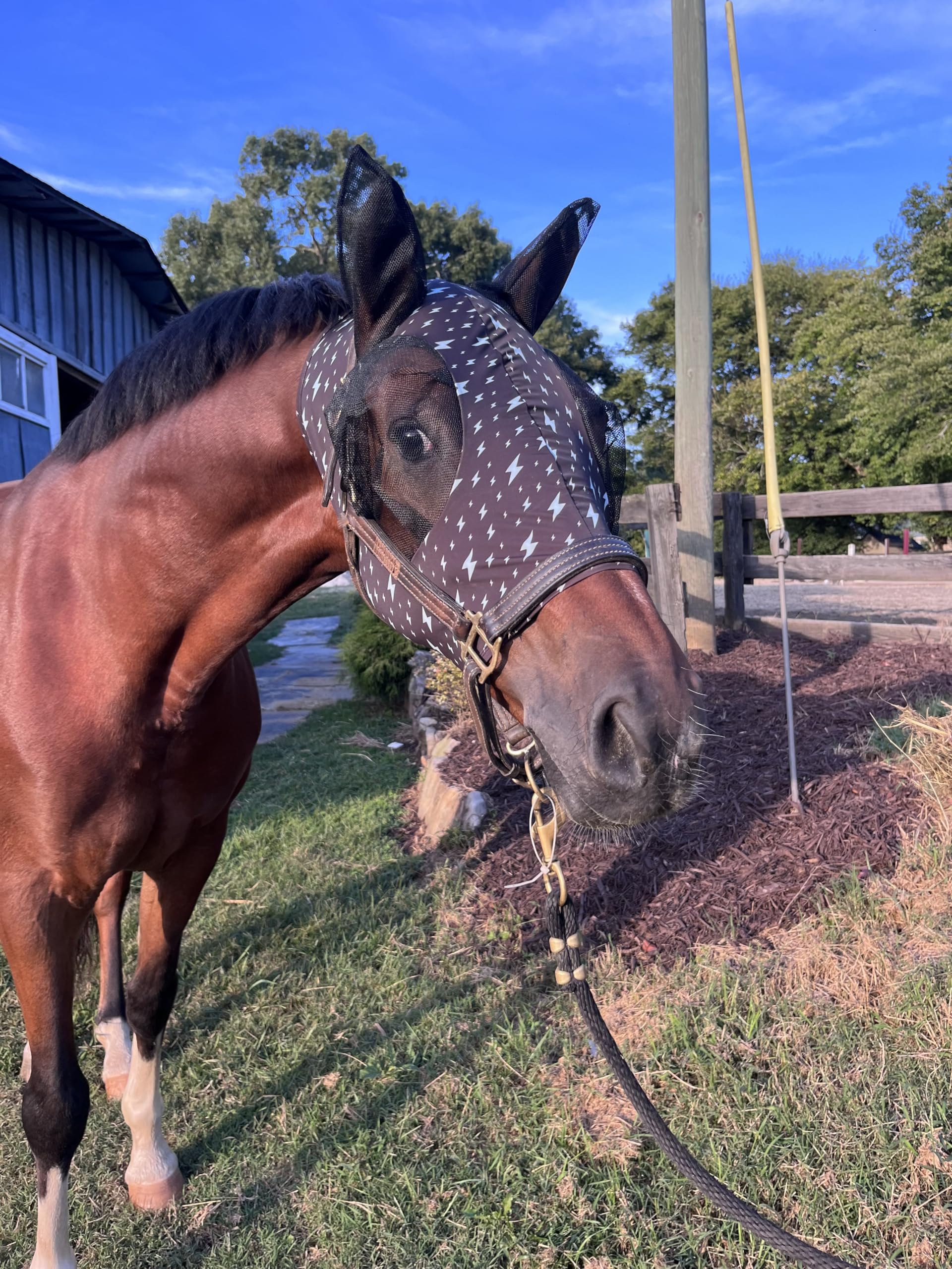 Stretchy Horse Fly Mask with Ears Comfort Fit Mesh Trail Pasture Sun UV Protection