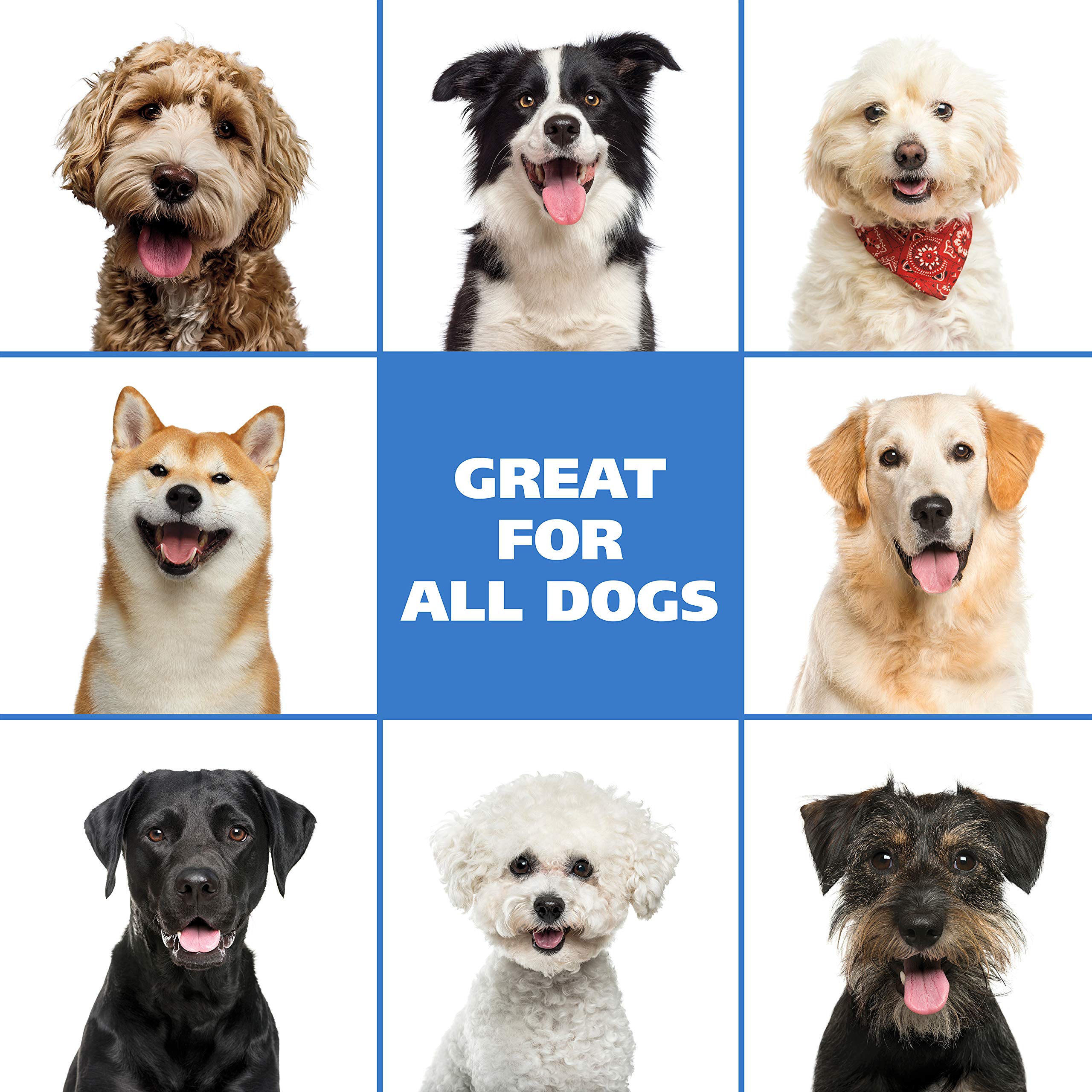 Wahl Usa Pet Friendly Waterless No Rinse Shampoo For Animals – Lavender & Chamomile For Cleaning, Conditioning, Detangling, & Moisturizing Dogs & Cats – 7.1 Oz - Model 820014A