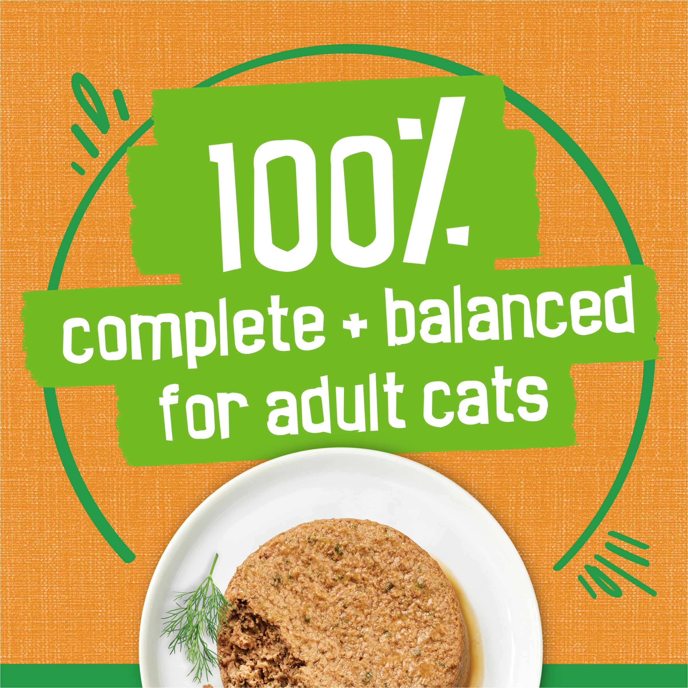 Friskies Indoor Cat Food Pate Chicken Dinner, 5.5 oz Cans, Pack of 24