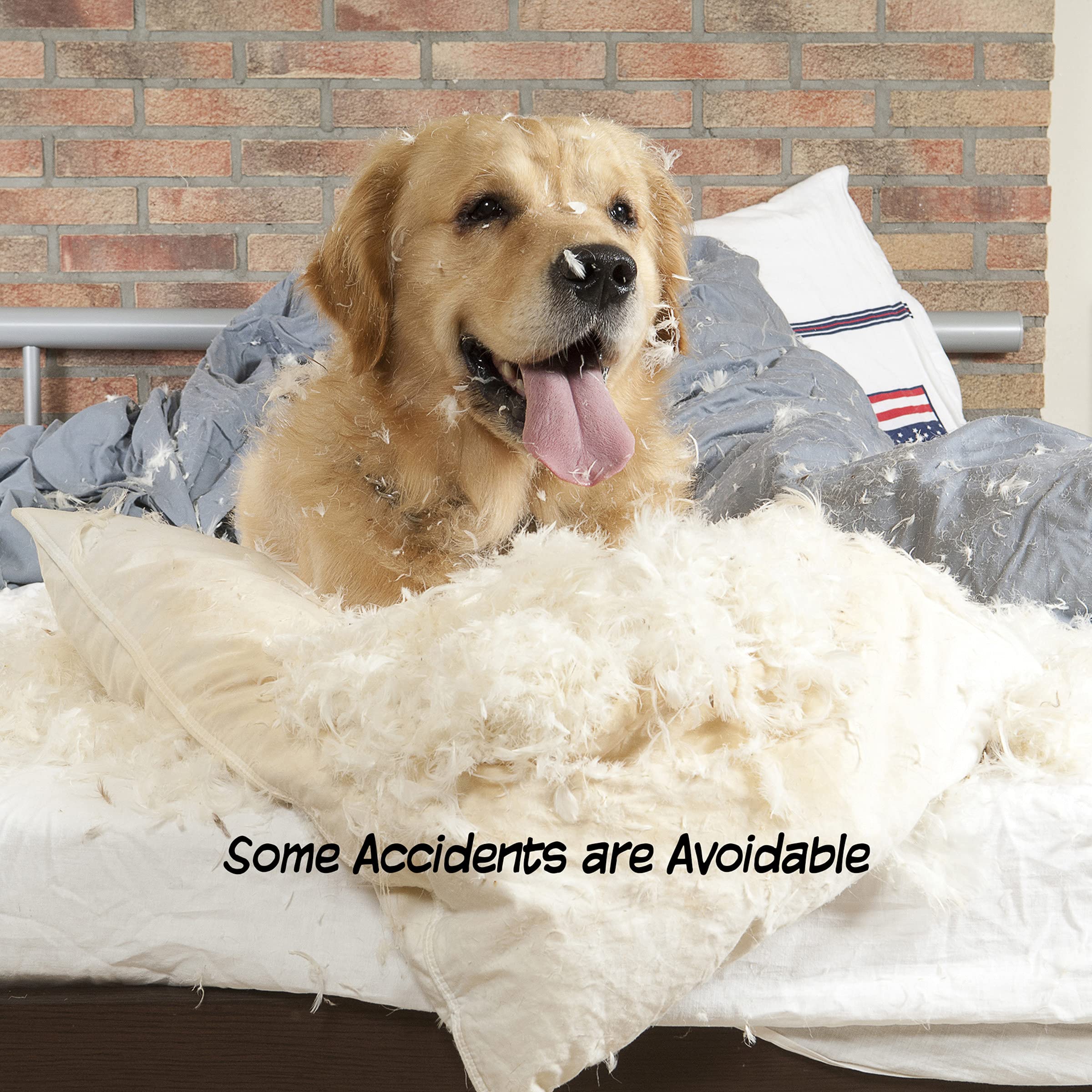 Pet Gate - 4-Panel Indoor Foldable Dog Fence For Stairs, Hallways, Or Doorways - 72X24-Inch Retractable Wood Freestanding Dog Gates By Petmaker (Gray)